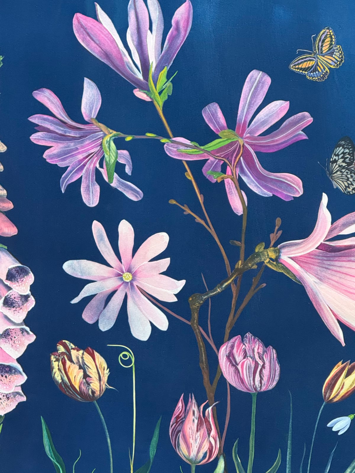 Julia Whitney Barnes, Picturesque Botany (Tulip, Magnolia, Dogwood, Foxglove, Crocus, Pollinators, etc.), 2025
