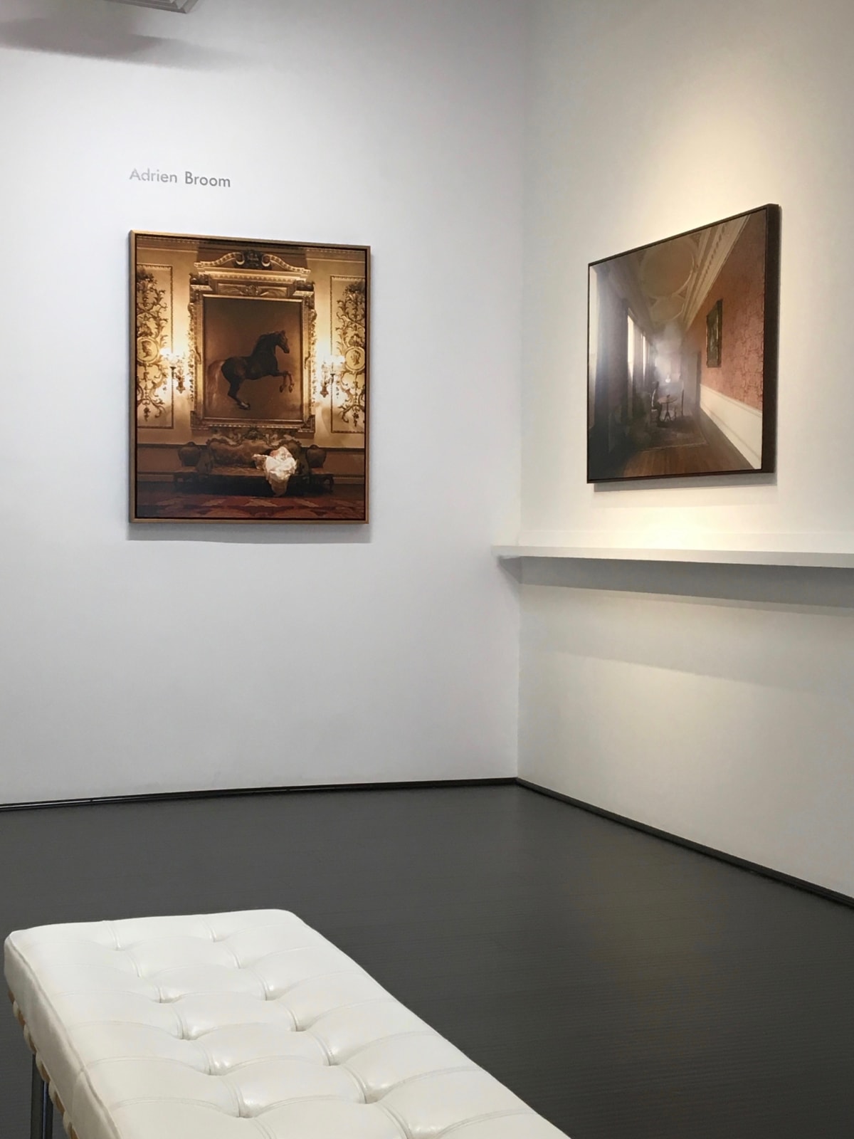 Adrien Broom, The Whistlejacket Room II, 2017