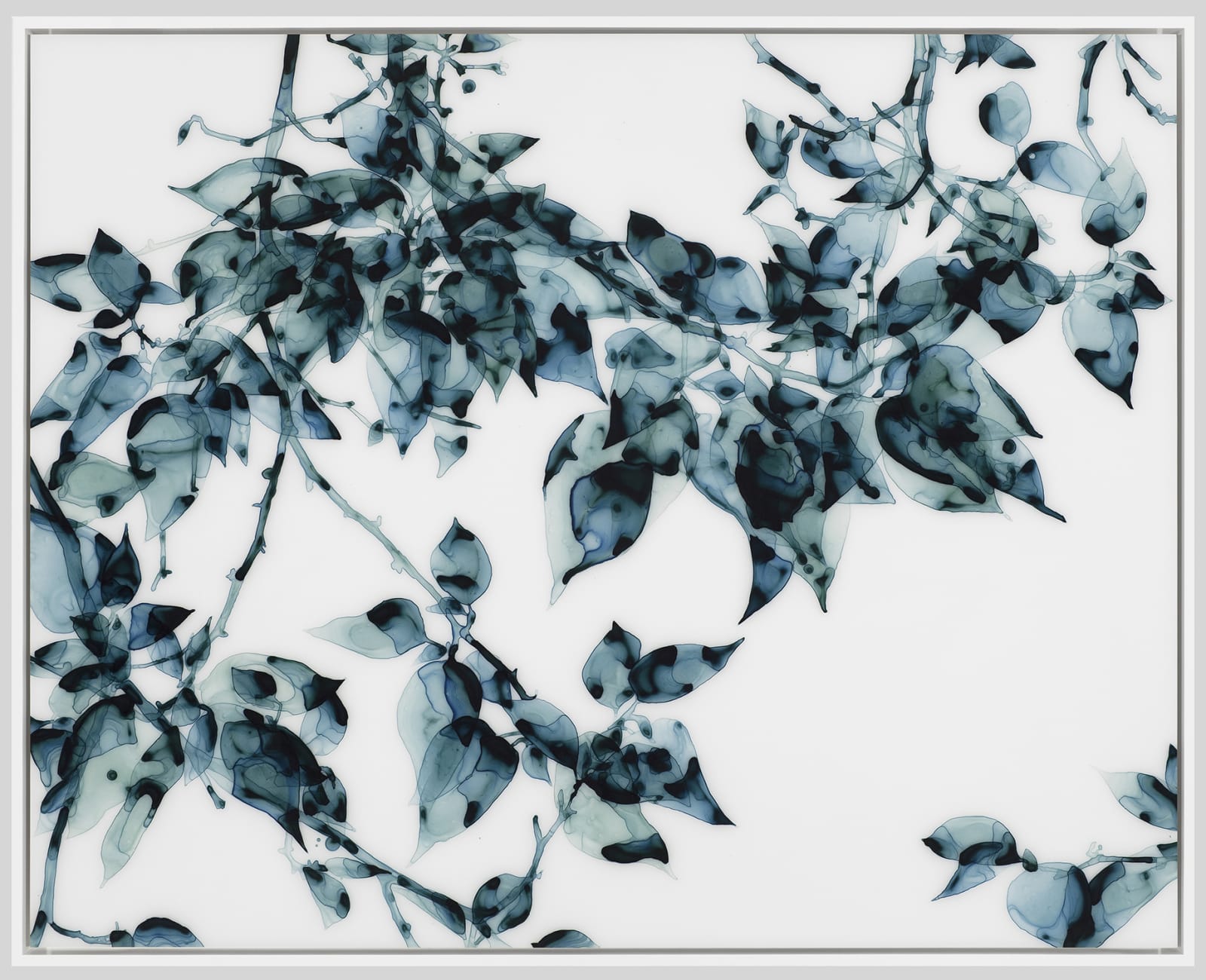 Jackie Battenfield, Hungry Teal, 2012