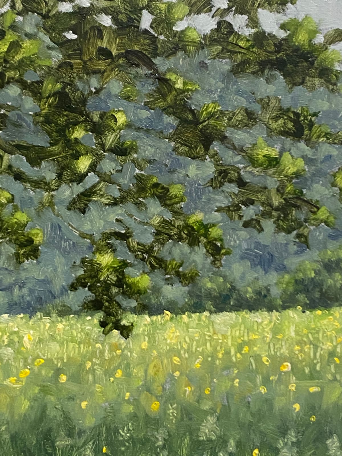 Thomas Sarrantonio, Field Painting June 4, 2021