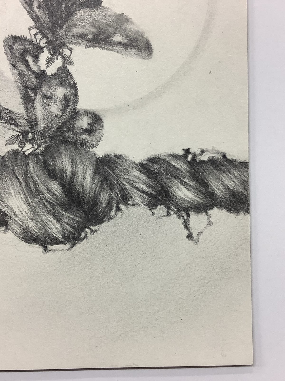 Francine Fox, Chapter Fine Focus, 2012