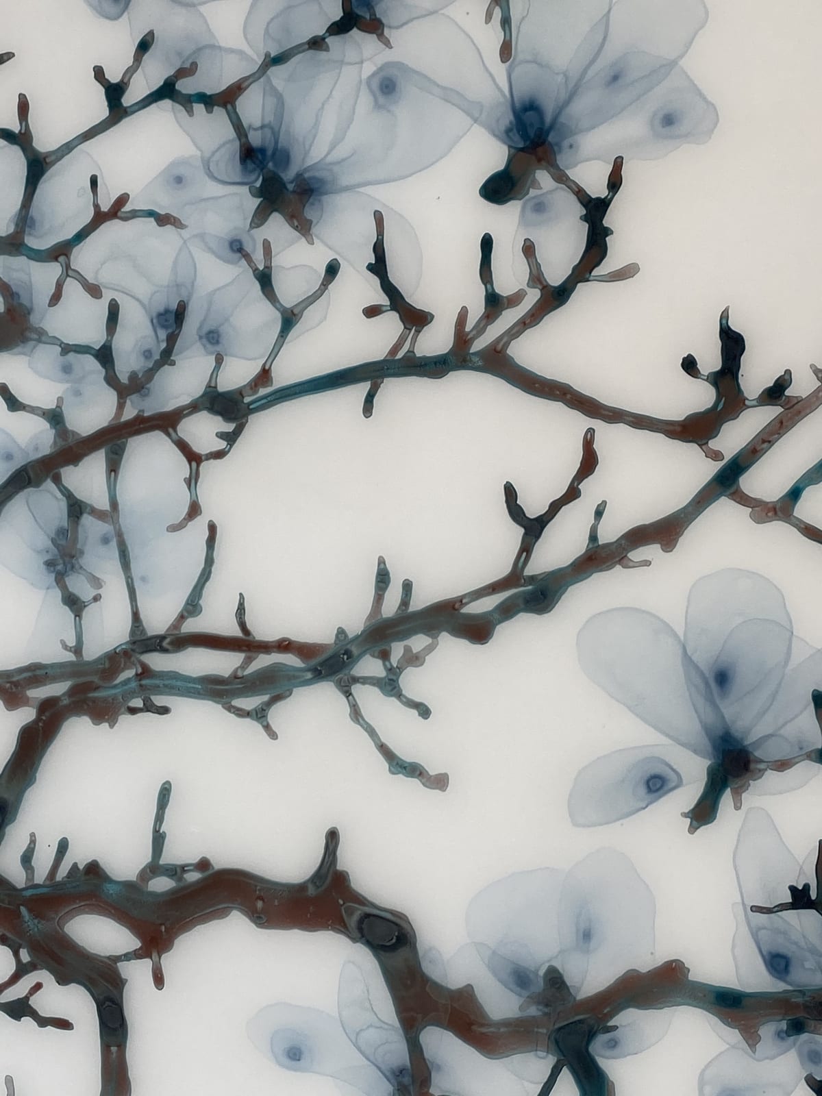 Jackie Battenfield, Spun Sugar, 2019