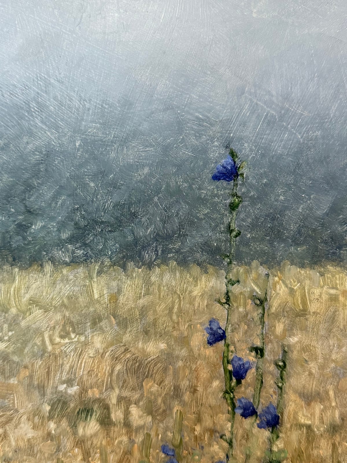 Thomas Sarrantonio, Field Painting September 12, 2023