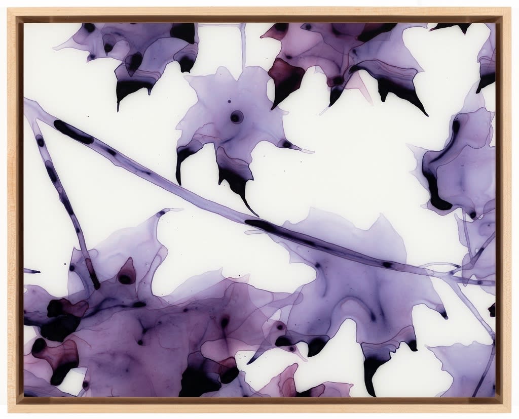 Jackie Battenfield, New Moon, 2011