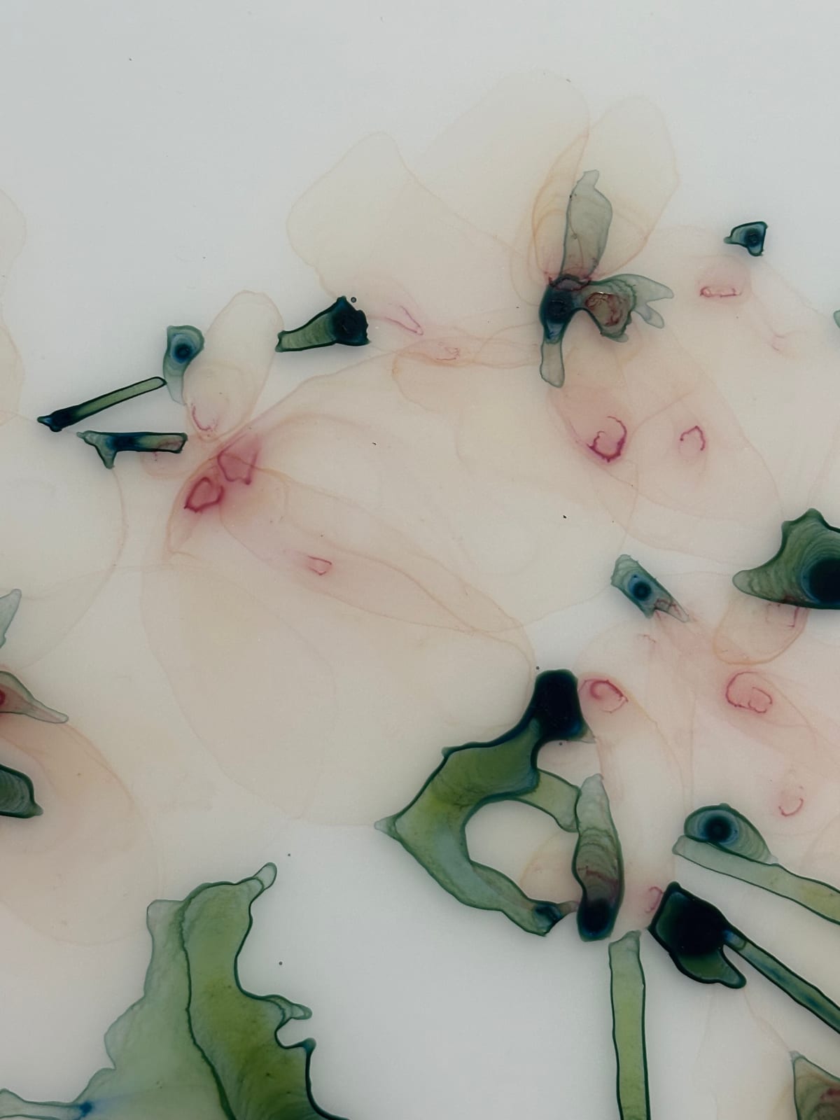 Jackie Battenfield, First Blush, 2023