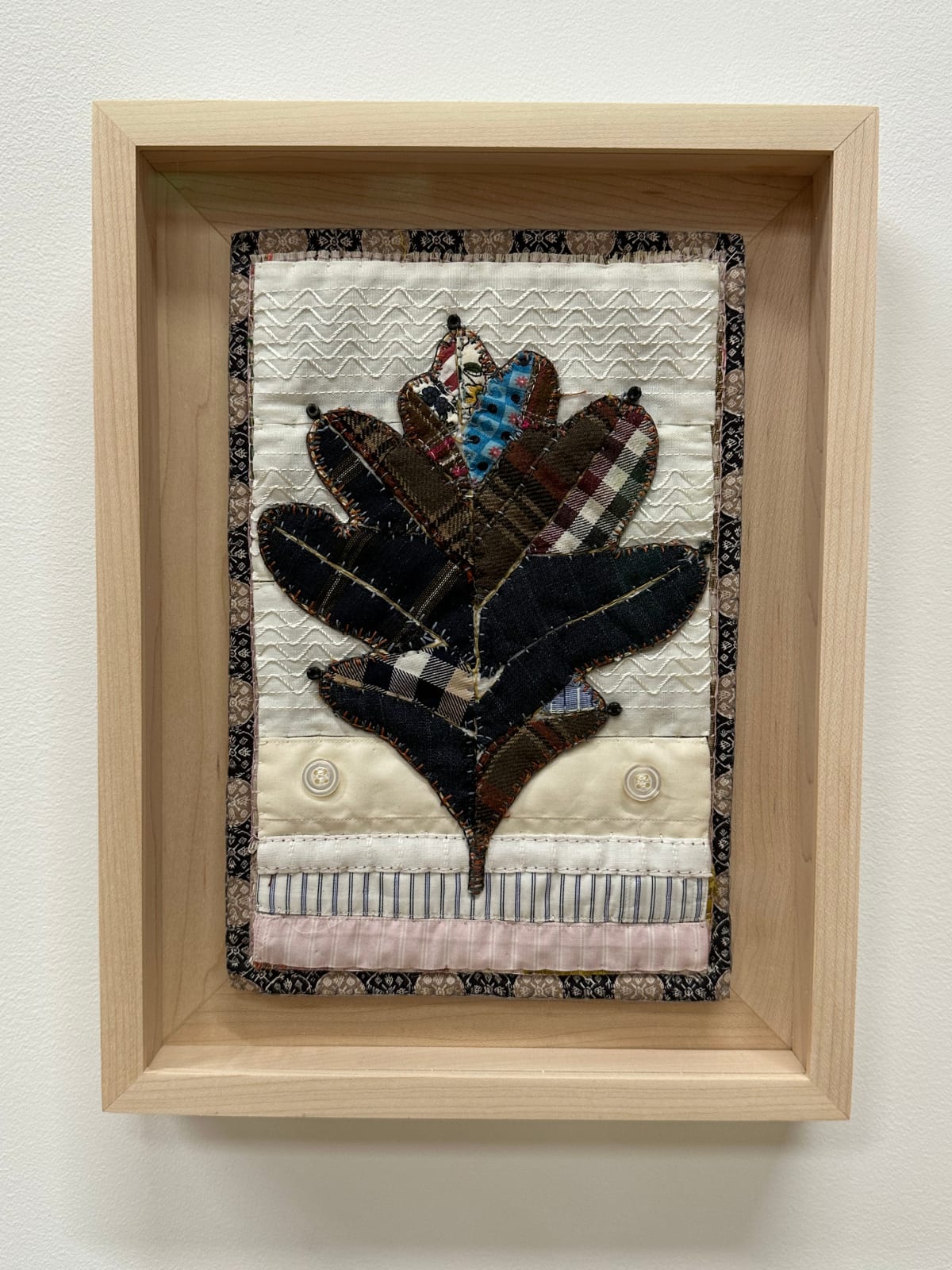 Donna Sharrett, Tailored Herbaria: Quercus alba: Pocantico River Watershed (2023 #3), 2023