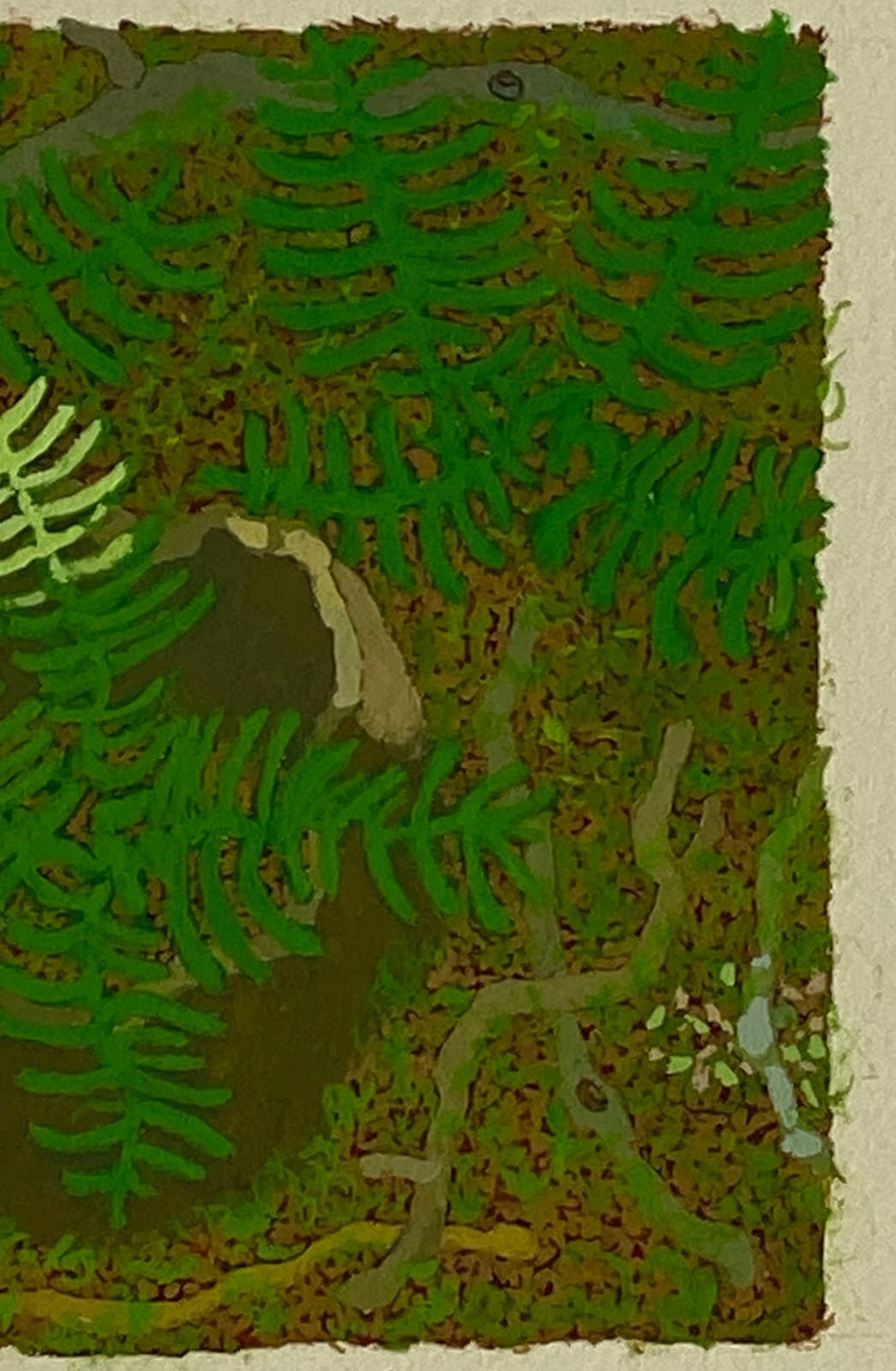 Gregory Hennen, Stump and Ferns, May, Wyatt Mt., 2018