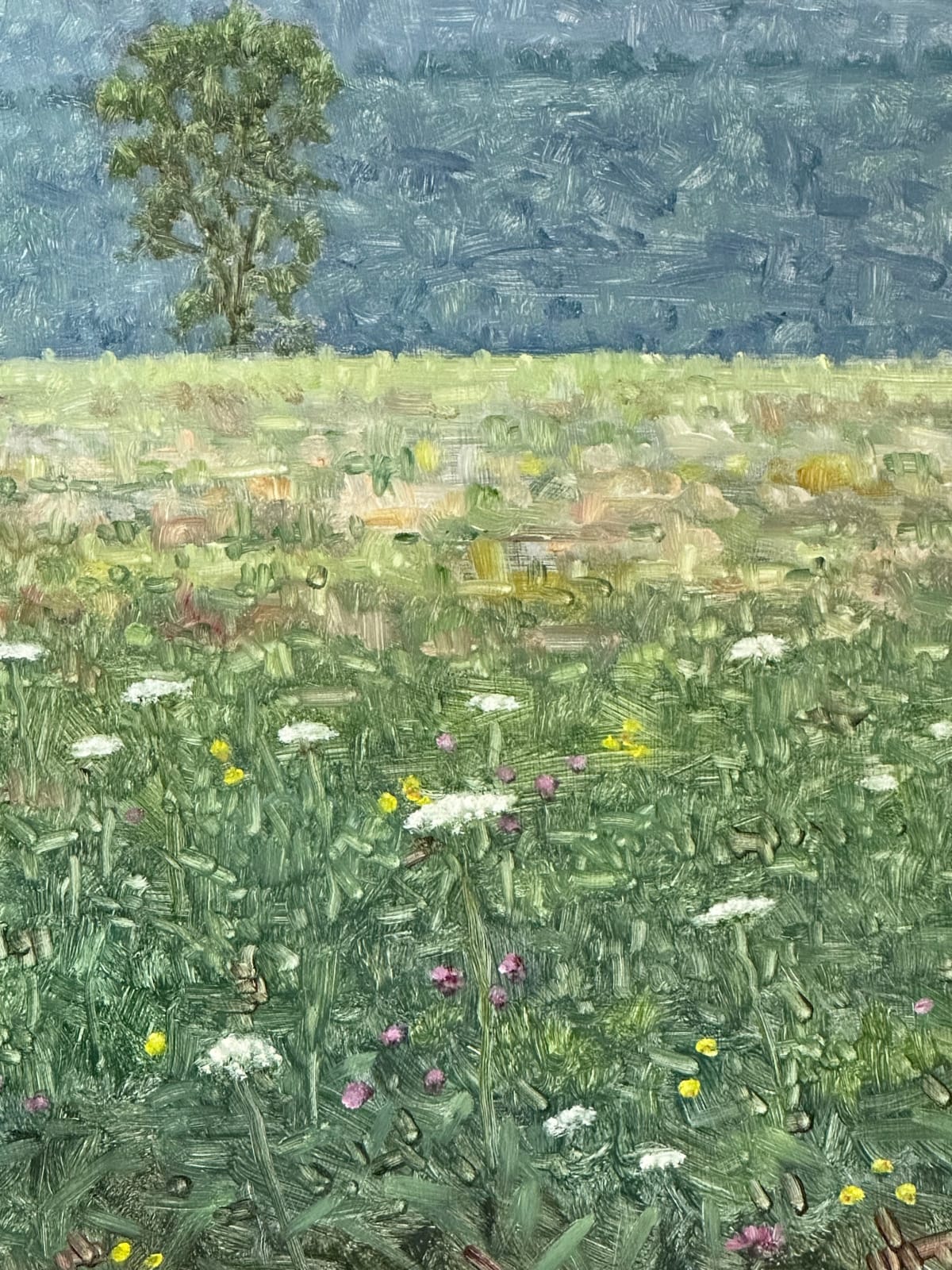 Thomas Sarrantonio, Field Painting July 27, 2023