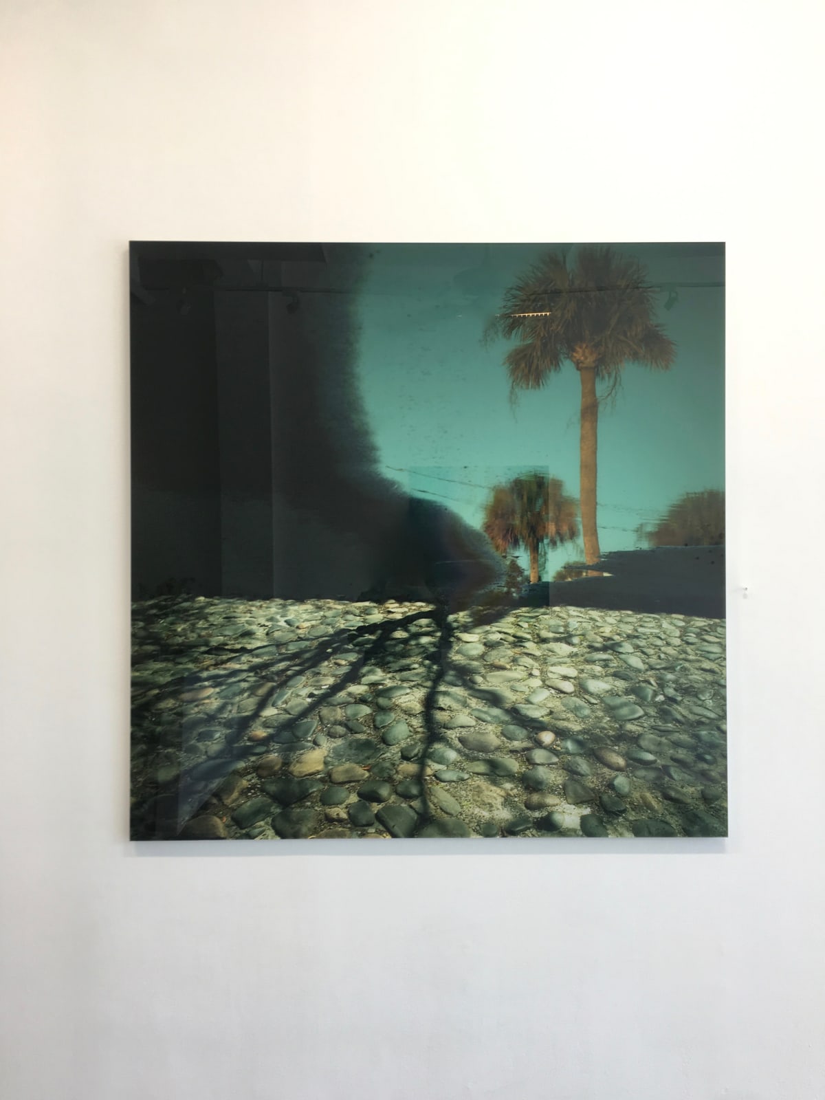 Mark Bartkiw, Fusion, 2019