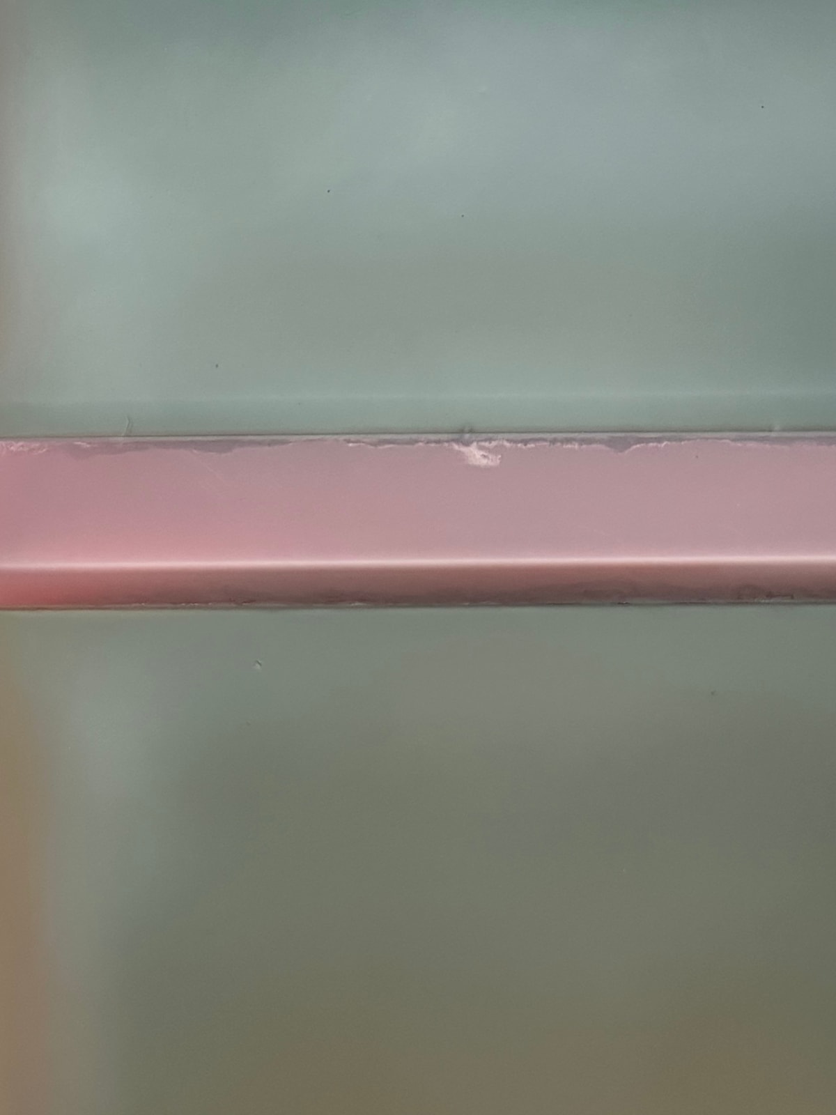 Susan English, Rose Bleed (wide footer), 2022