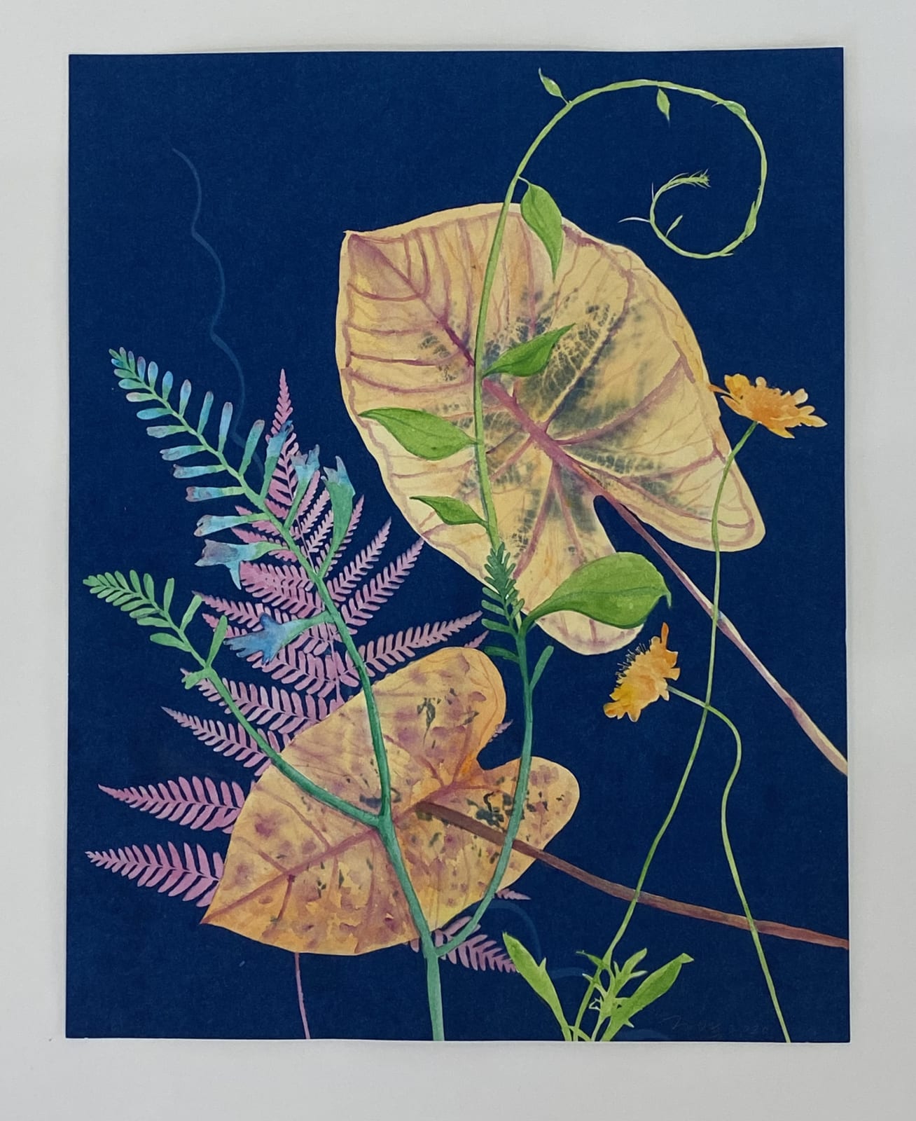 Julia Whitney Barnes, Cyanotype Painting (Leaves Pink Fern), 2020