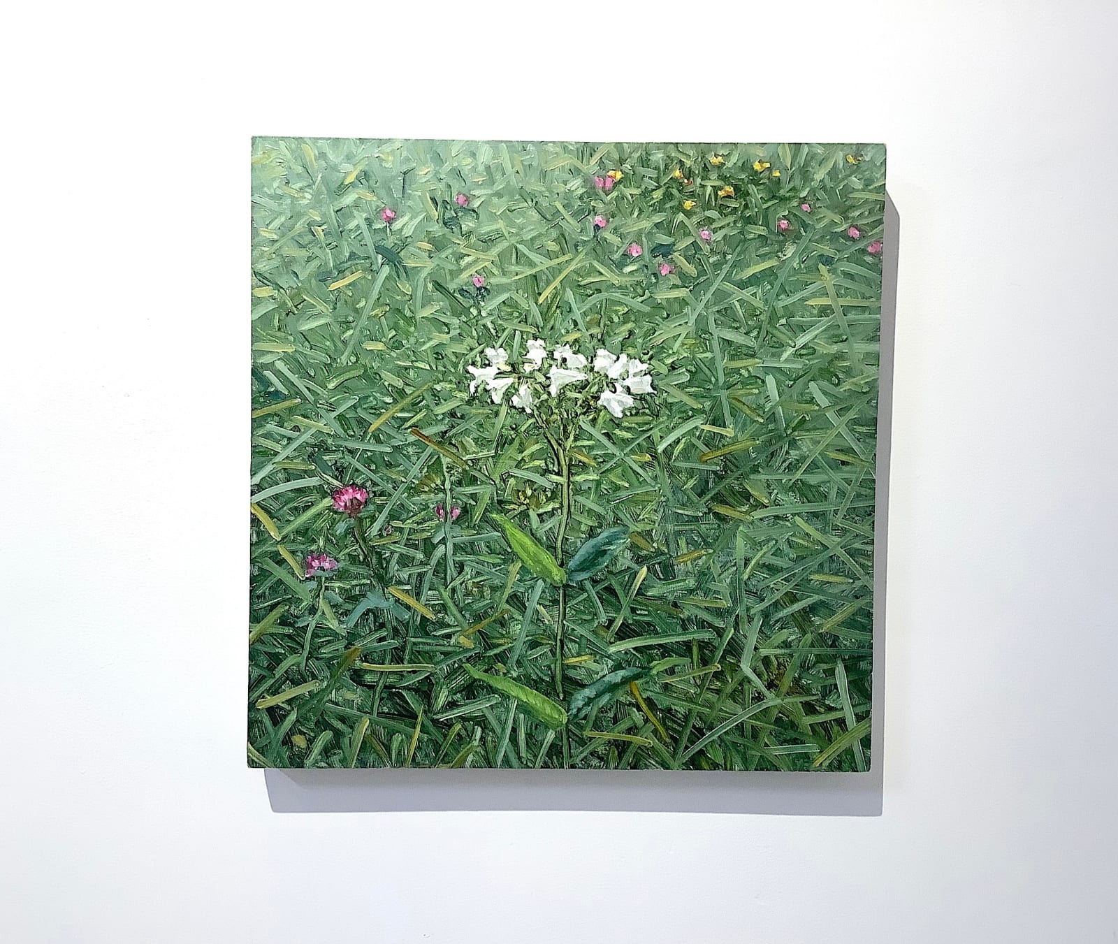 Thomas Sarrantonio, Announcement, 2014