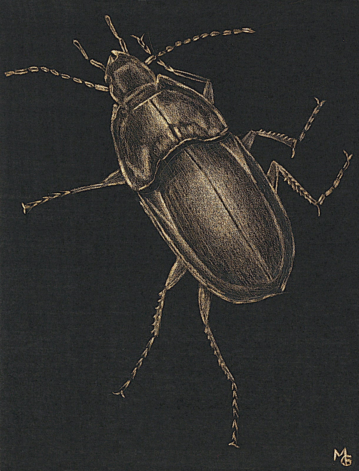 Margot Glass, Large Beetle, 2020