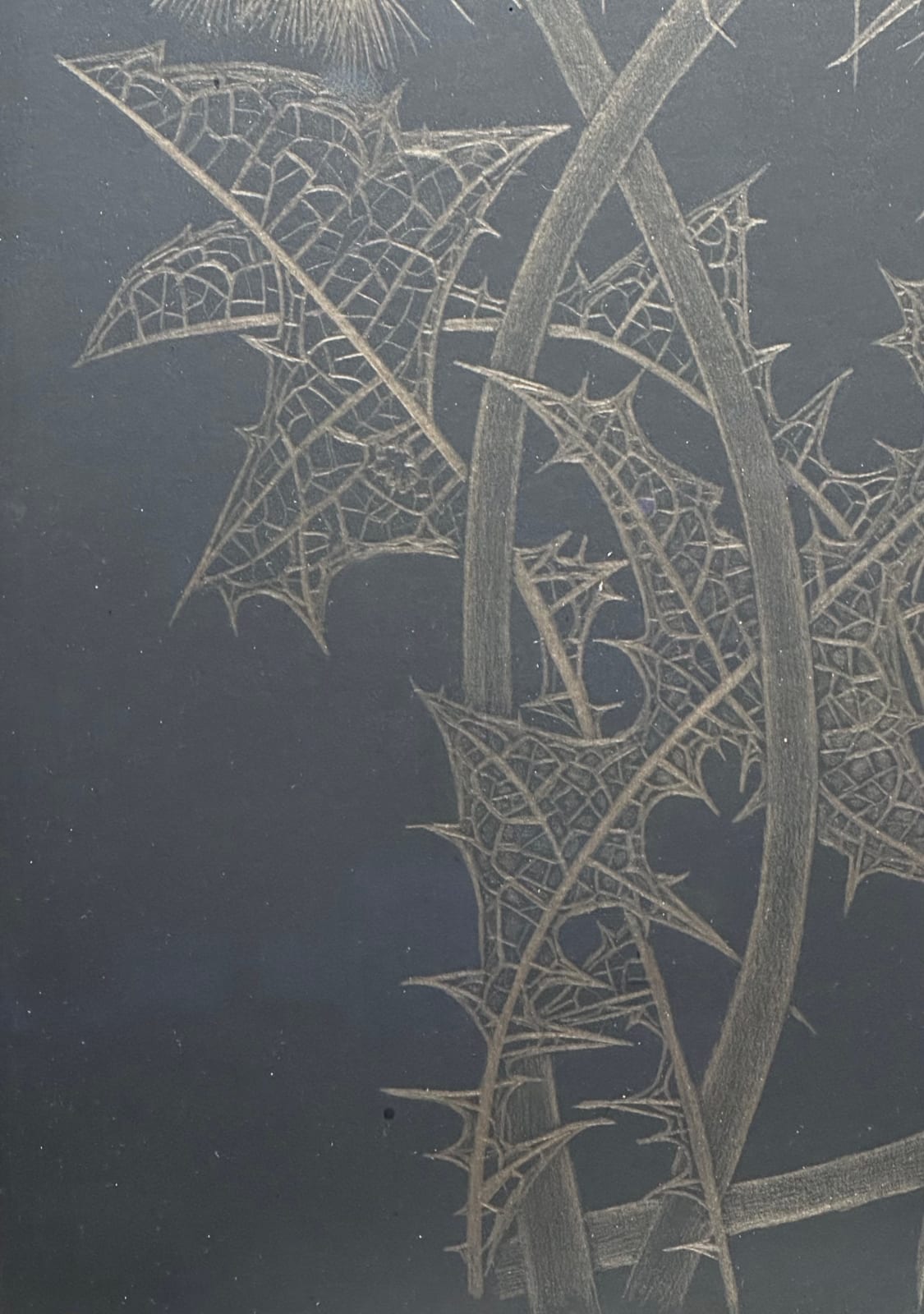 Margot Glass, Two Dandelions with Bud, 2024