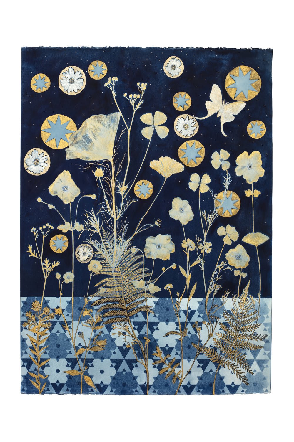 Julia Whitney Barnes, Cyanotype Print (Gold Ferns, Anemone, Daisies, Floor, Stars , 2021