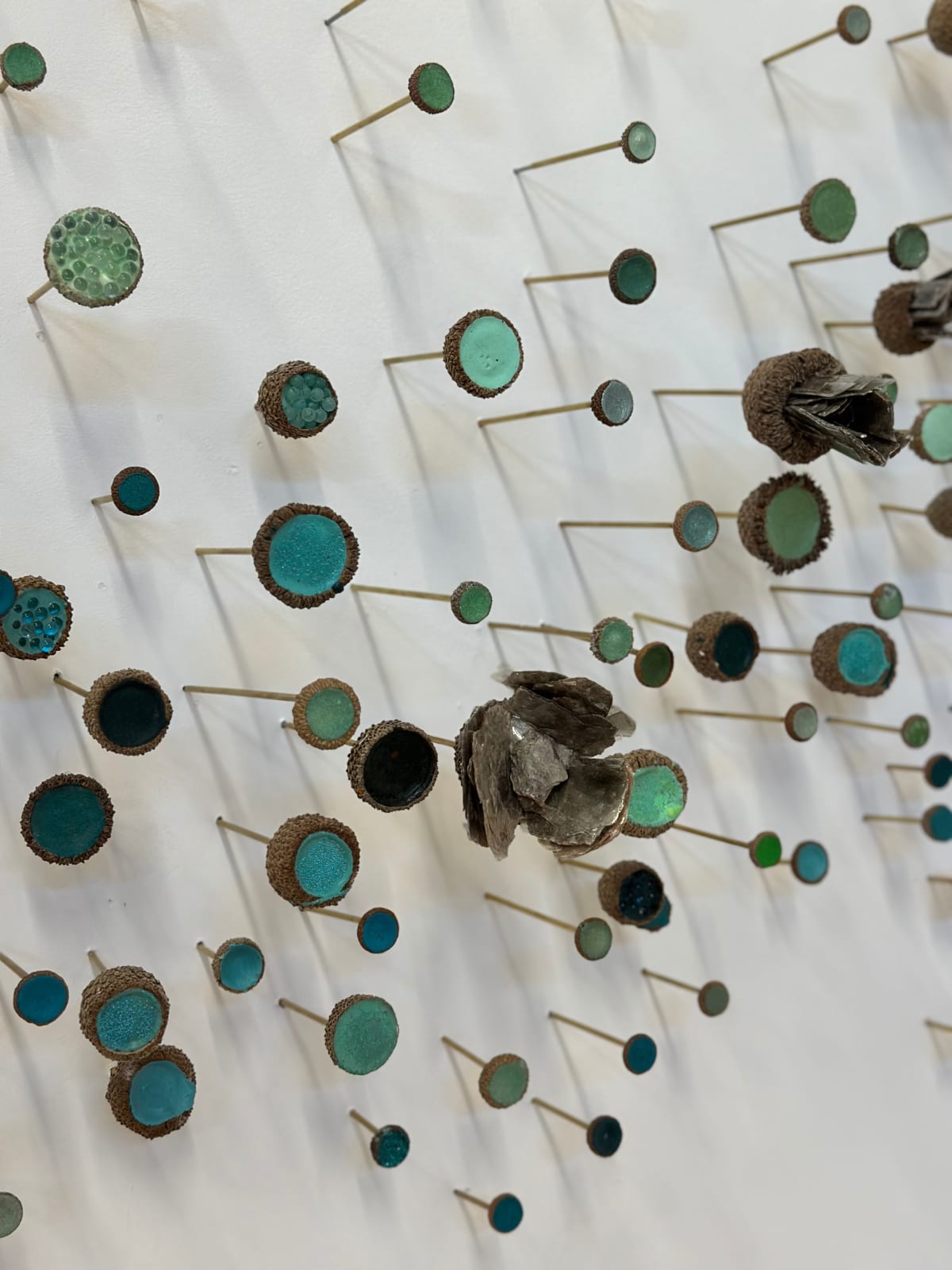 Julie Maren, Aquatic Garden, 2024