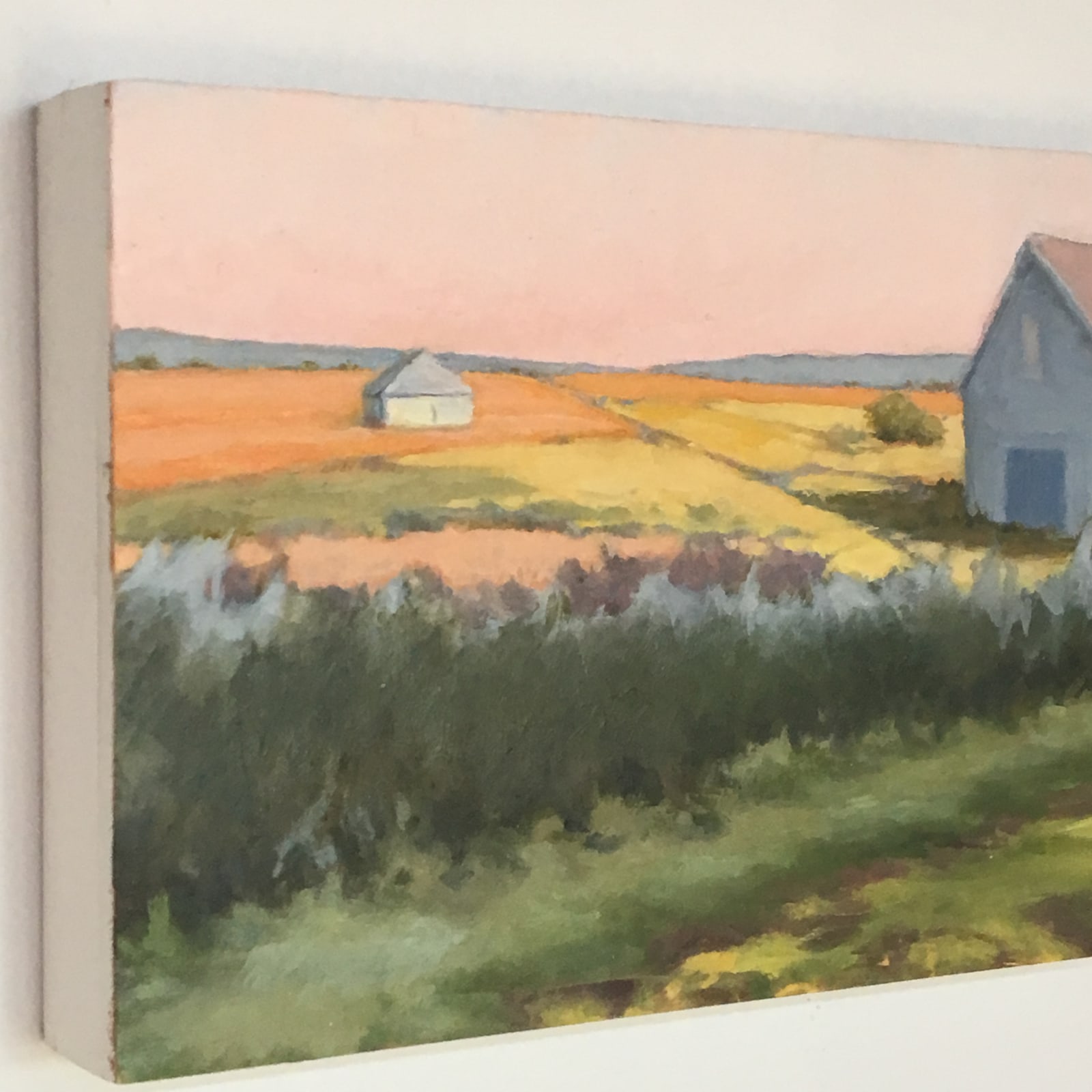 Sally Maca, Summer Fields, 2019
