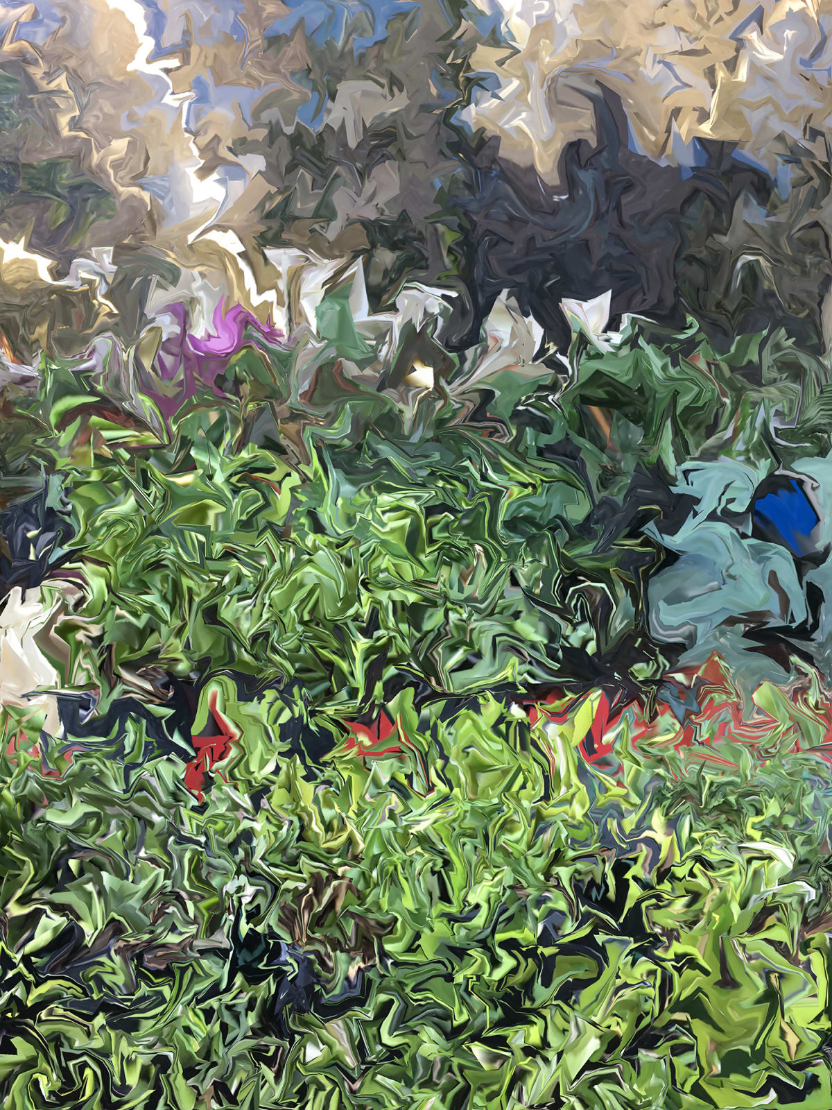 Gary Cruz, Succulents, 2018