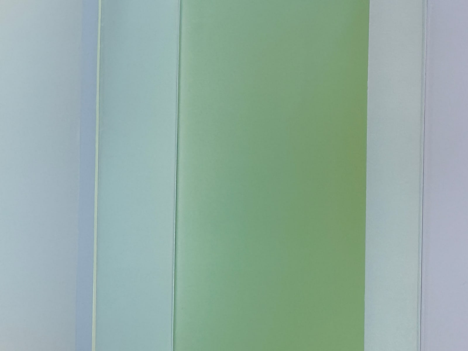 Susan English, Garden, 2025