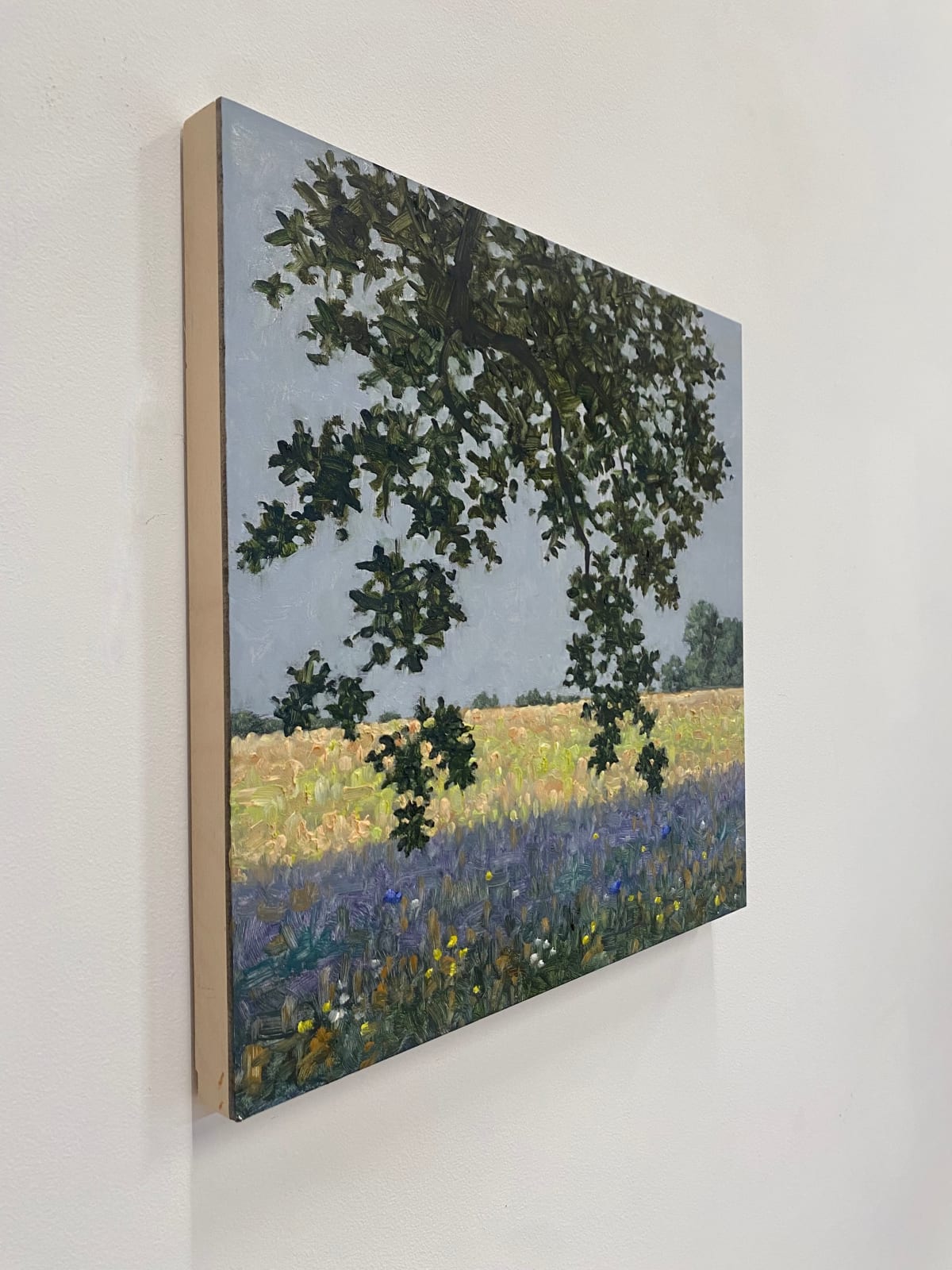 Thomas Sarrantonio, Field Painting July 1, 2022