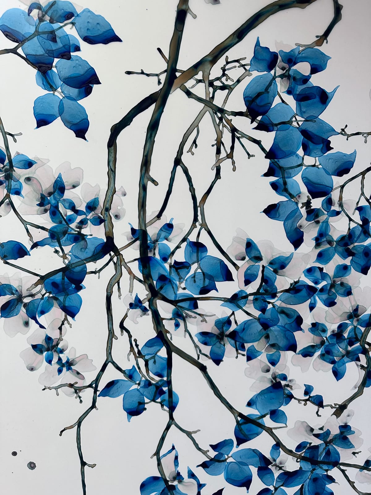 Jackie Battenfield, Sweet Ballad, 2024