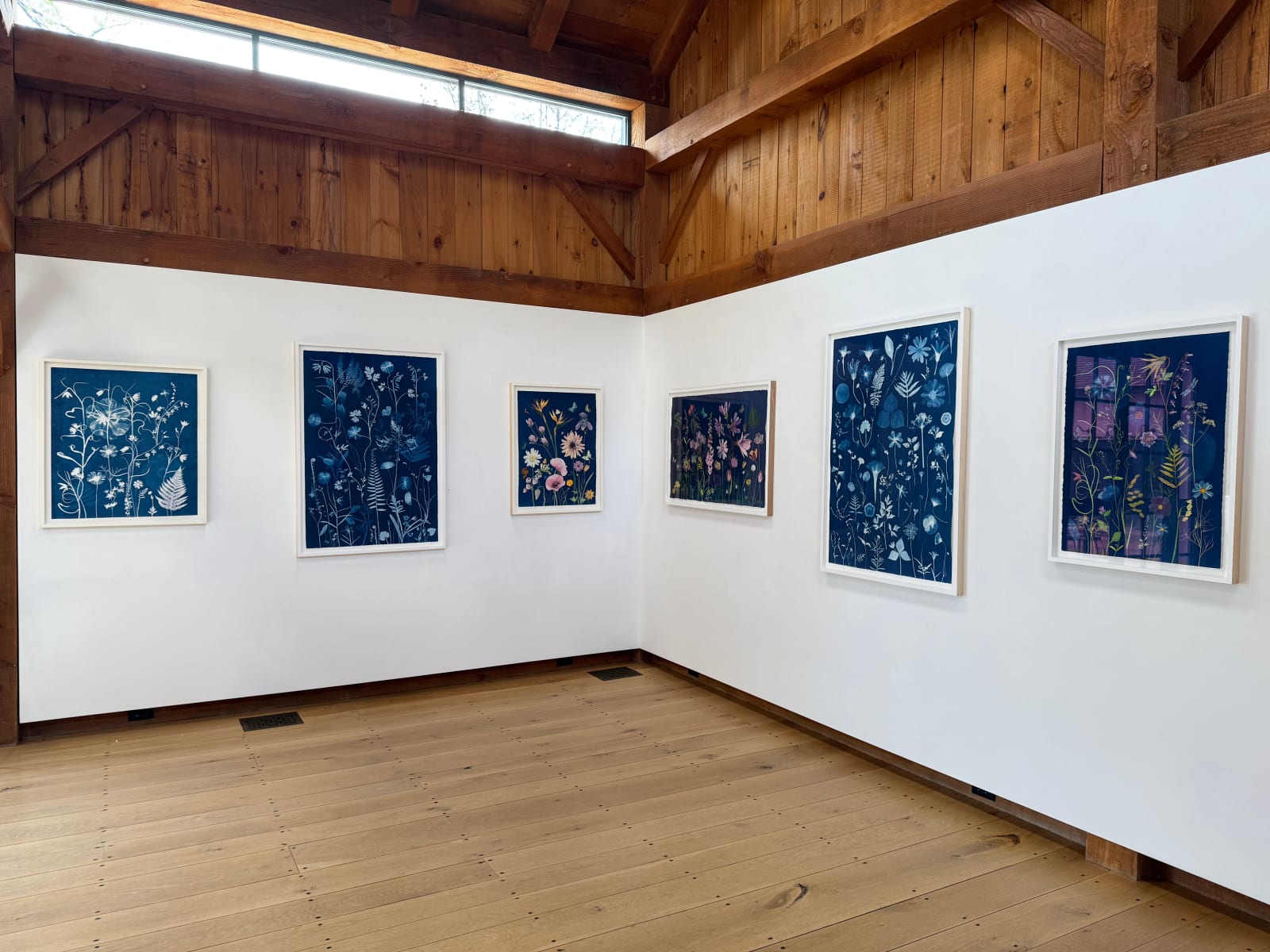 Julia Whitney Barnes, Nocturnal Nature (Fritillarias, Bleeding Hearts, Ferns, Hibiscus), 2021-'23