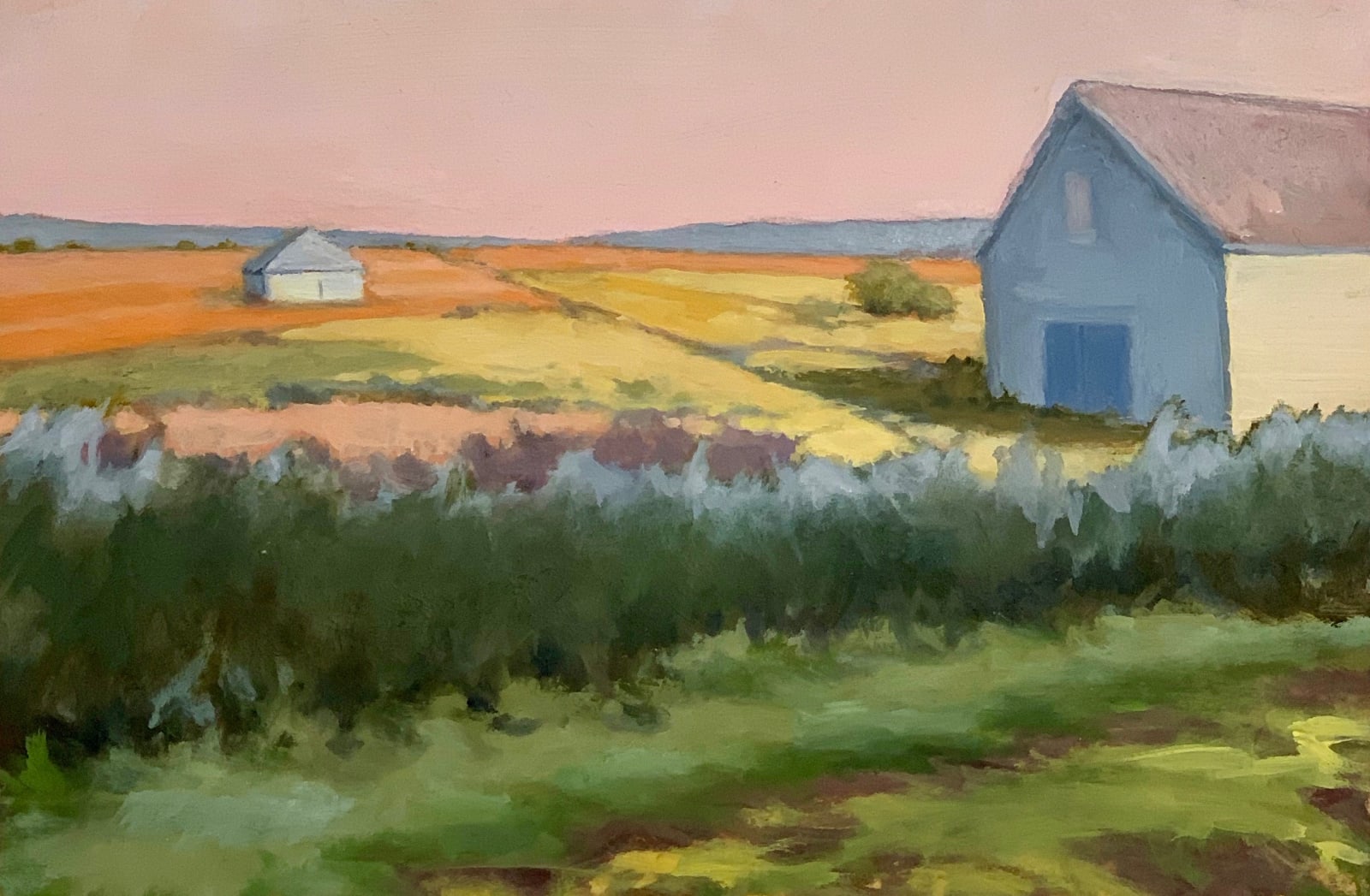 Sally Maca, Summer Fields, 2019