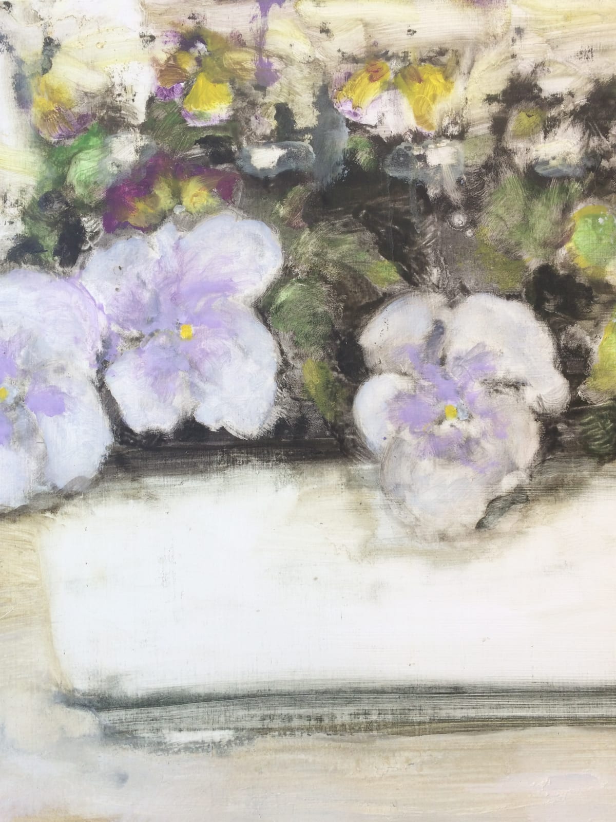 David Konigsberg, Pansies, 2017