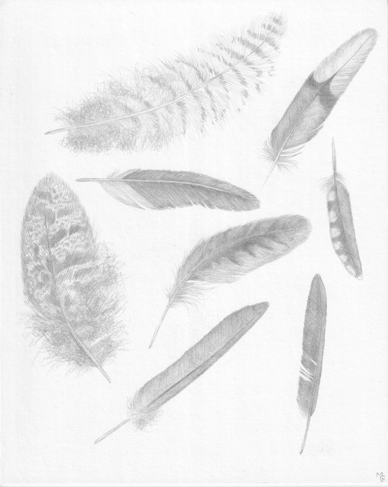 Margot Glass, Feather Group 4, 2021