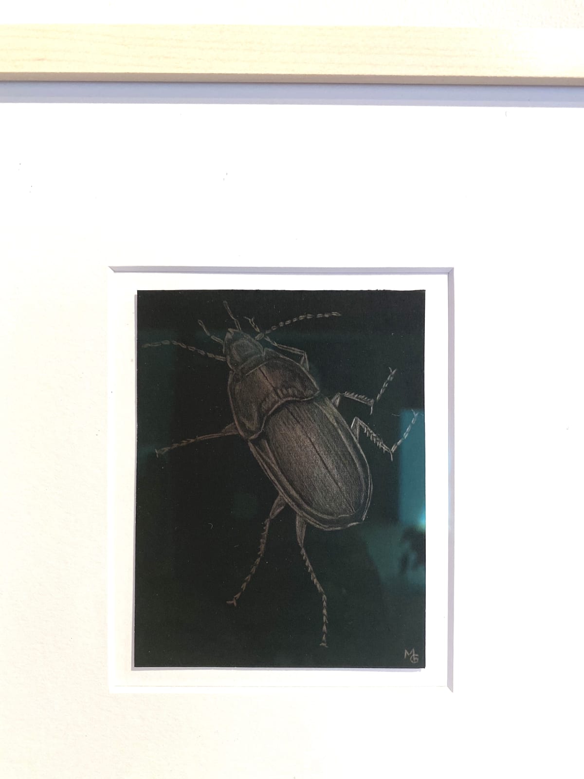 Margot Glass, Large Beetle, 2020