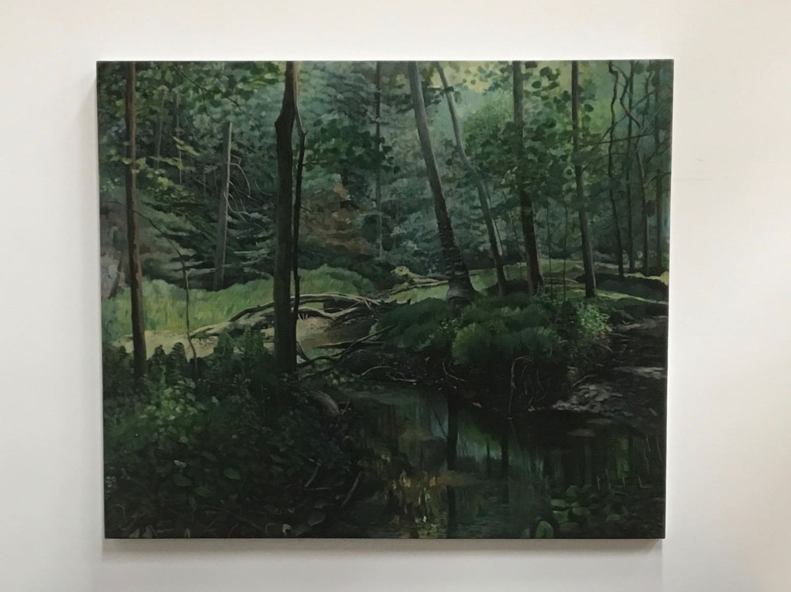 Amy Talluto, Black Creek, 2018