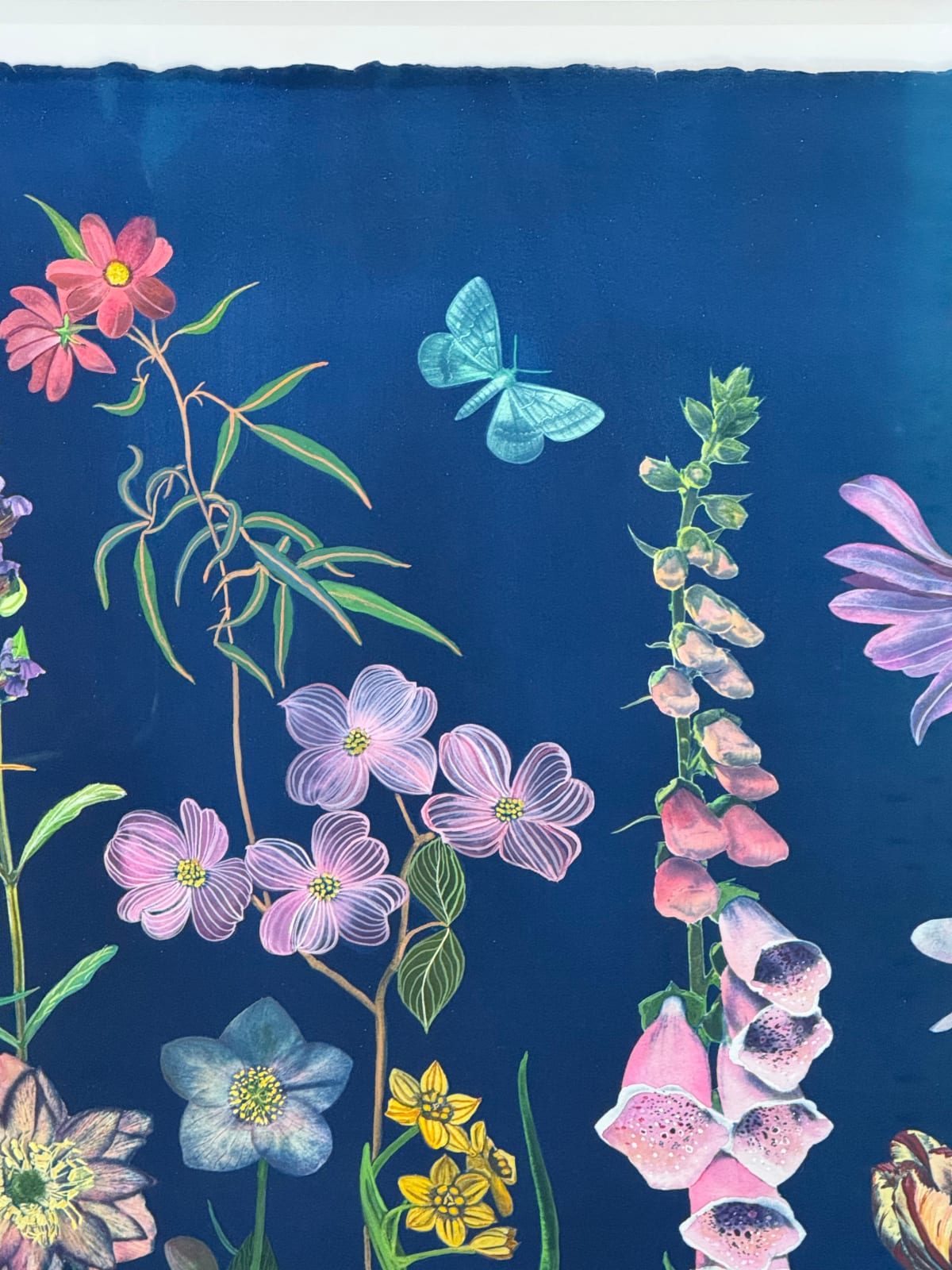Julia Whitney Barnes, Picturesque Botany (Tulip, Magnolia, Dogwood, Foxglove, Crocus, Pollinators, etc.), 2025
