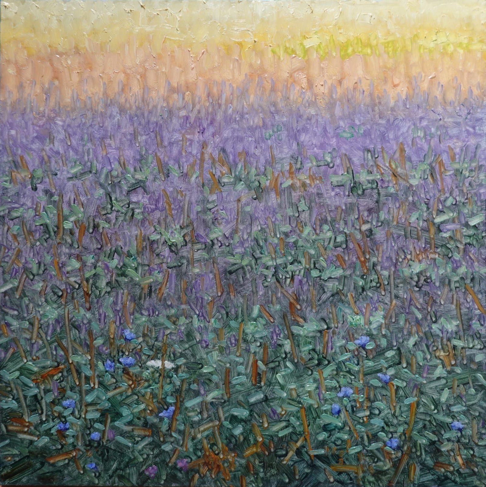Thomas Sarrantonio, Field Painting July 29, 2022