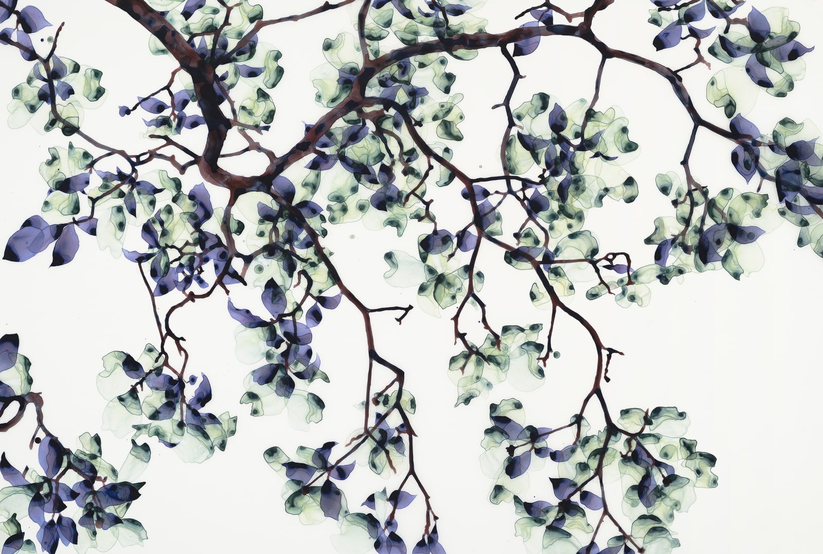 Jackie Battenfield, Dew Drop, 2018