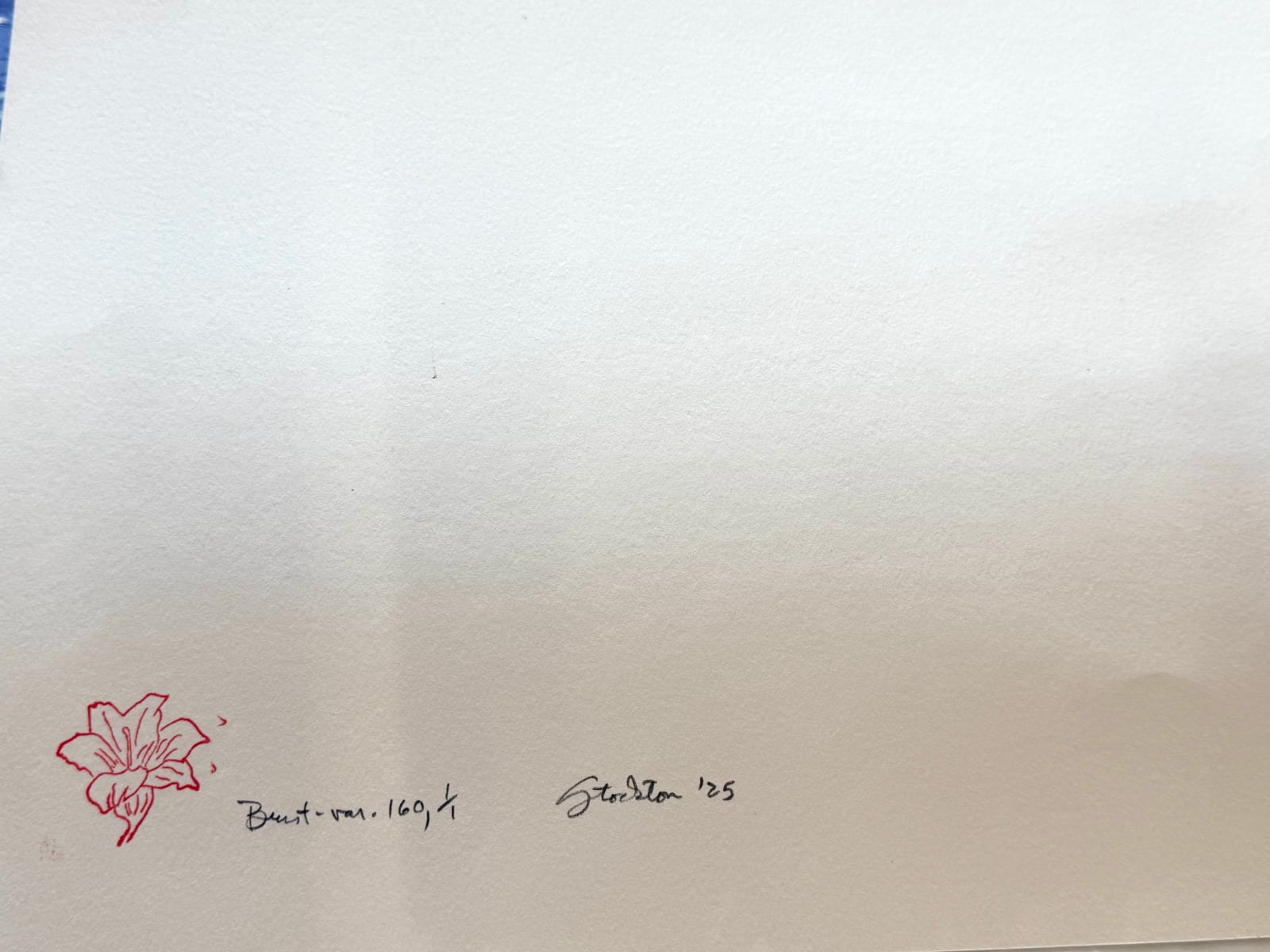 Eve Stockton, Burst variation 160, 2025