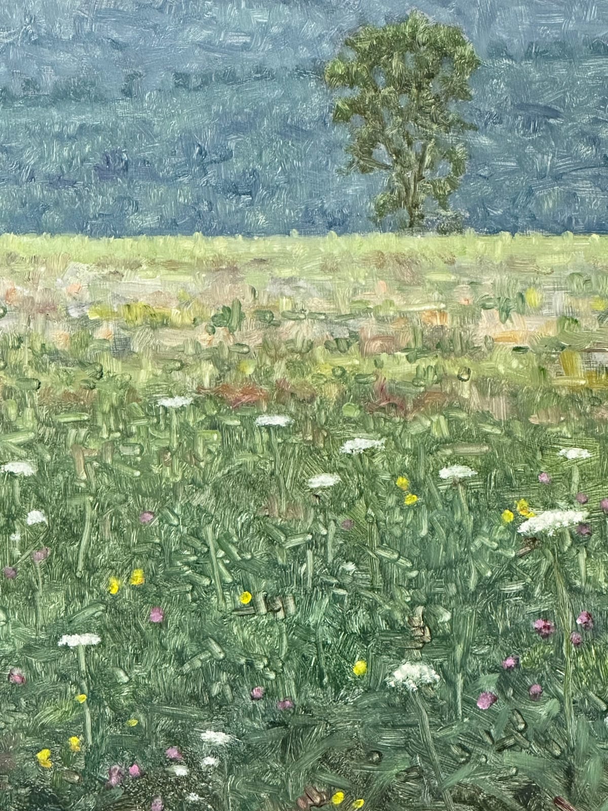 Thomas Sarrantonio, Field Painting July 27, 2023