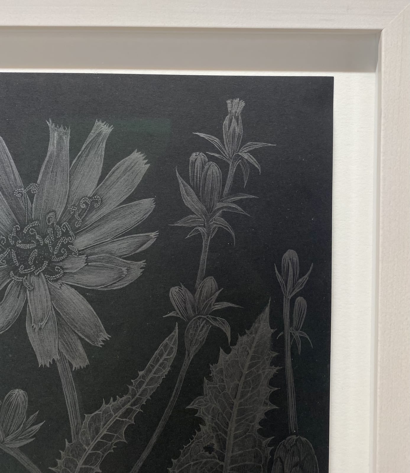 Margot Glass, Chicory 1, 2022
