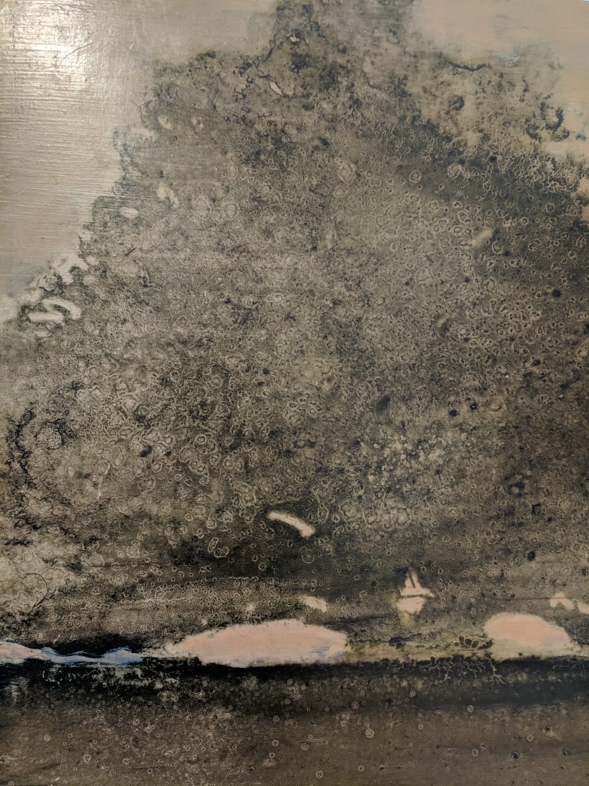 David Konigsberg, Arboreal #1, #2, #3 (triptych), 2018