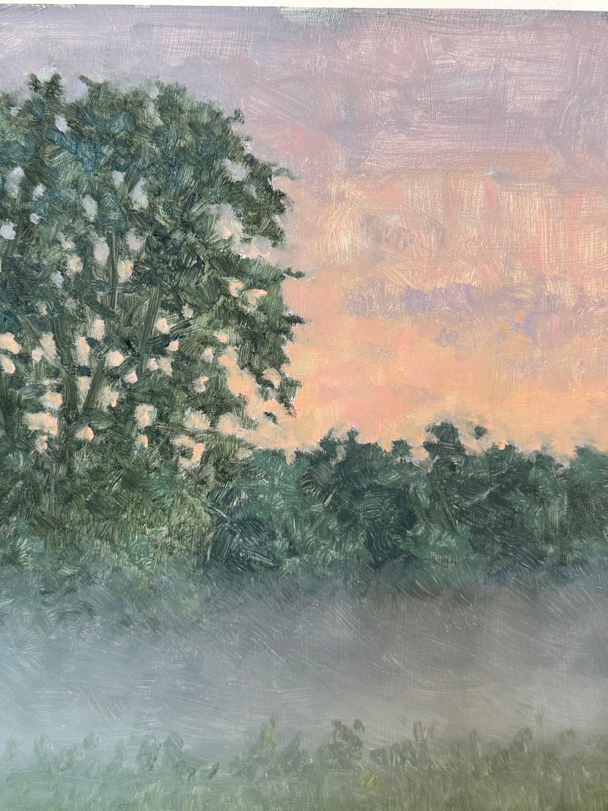 Thomas Sarrantonio, Field Painting August 2, 2024