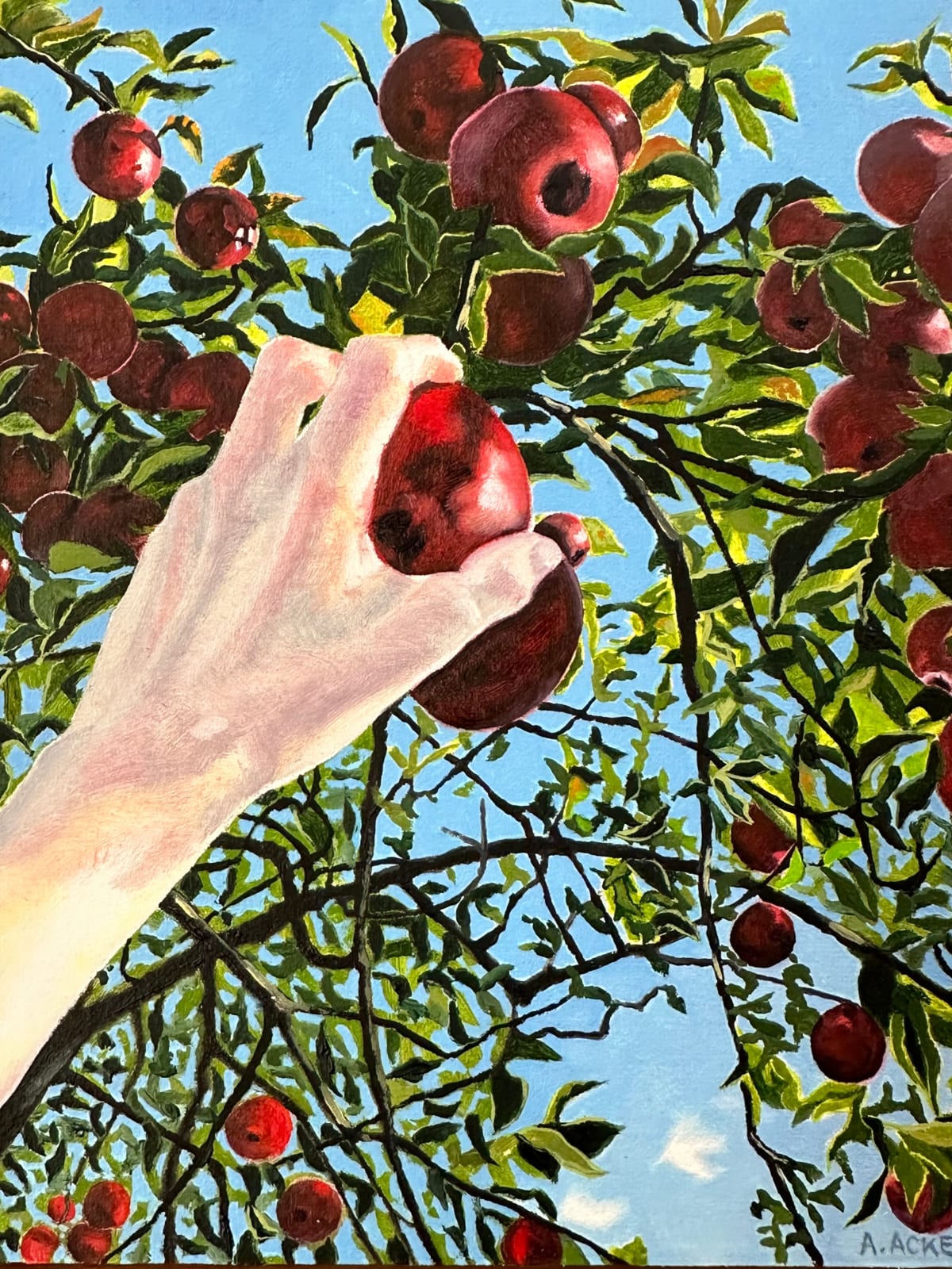Amanda Acker, Apple Picking, 2023