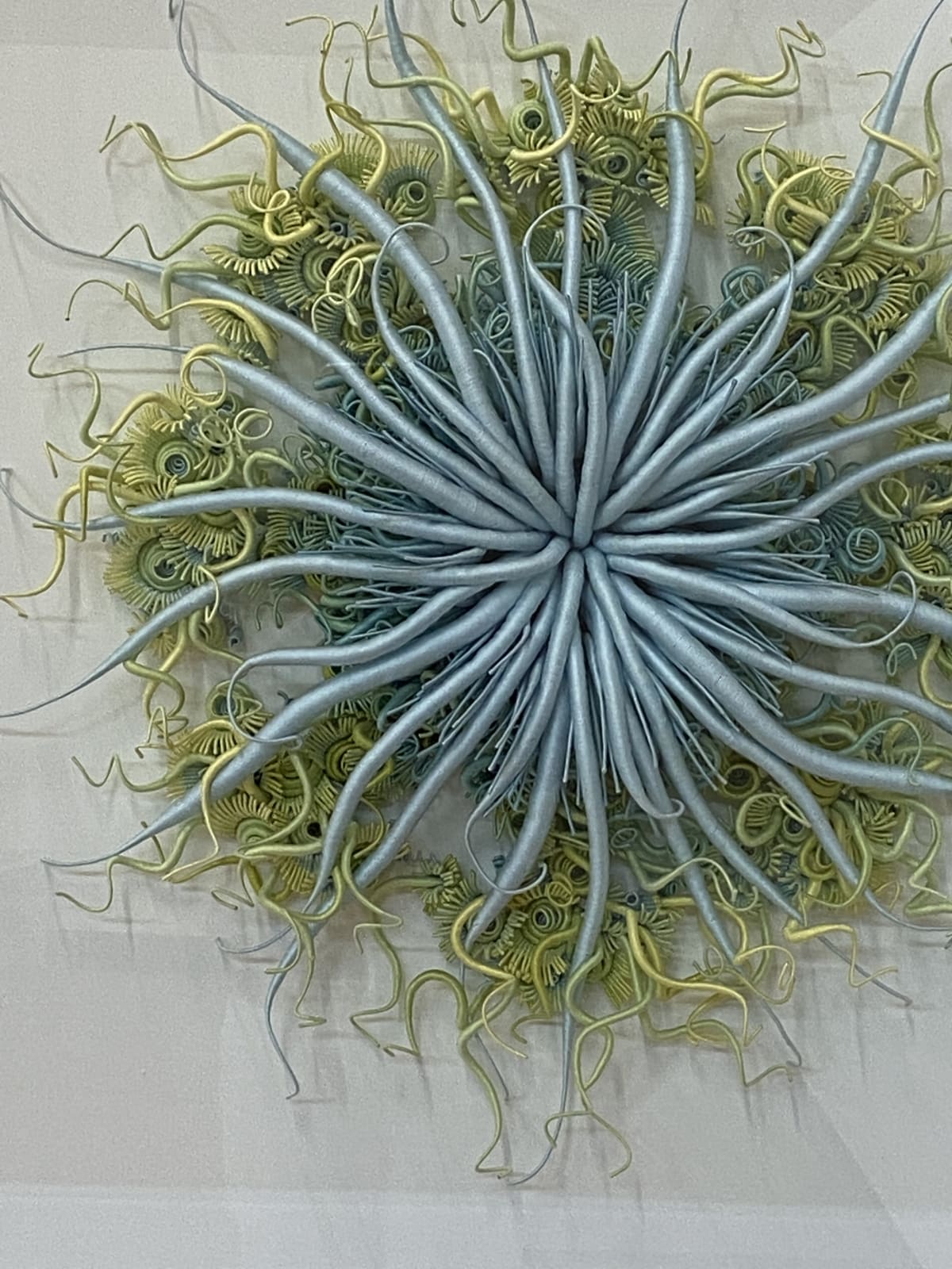 Catherine Latson, Specimen #18, 2020