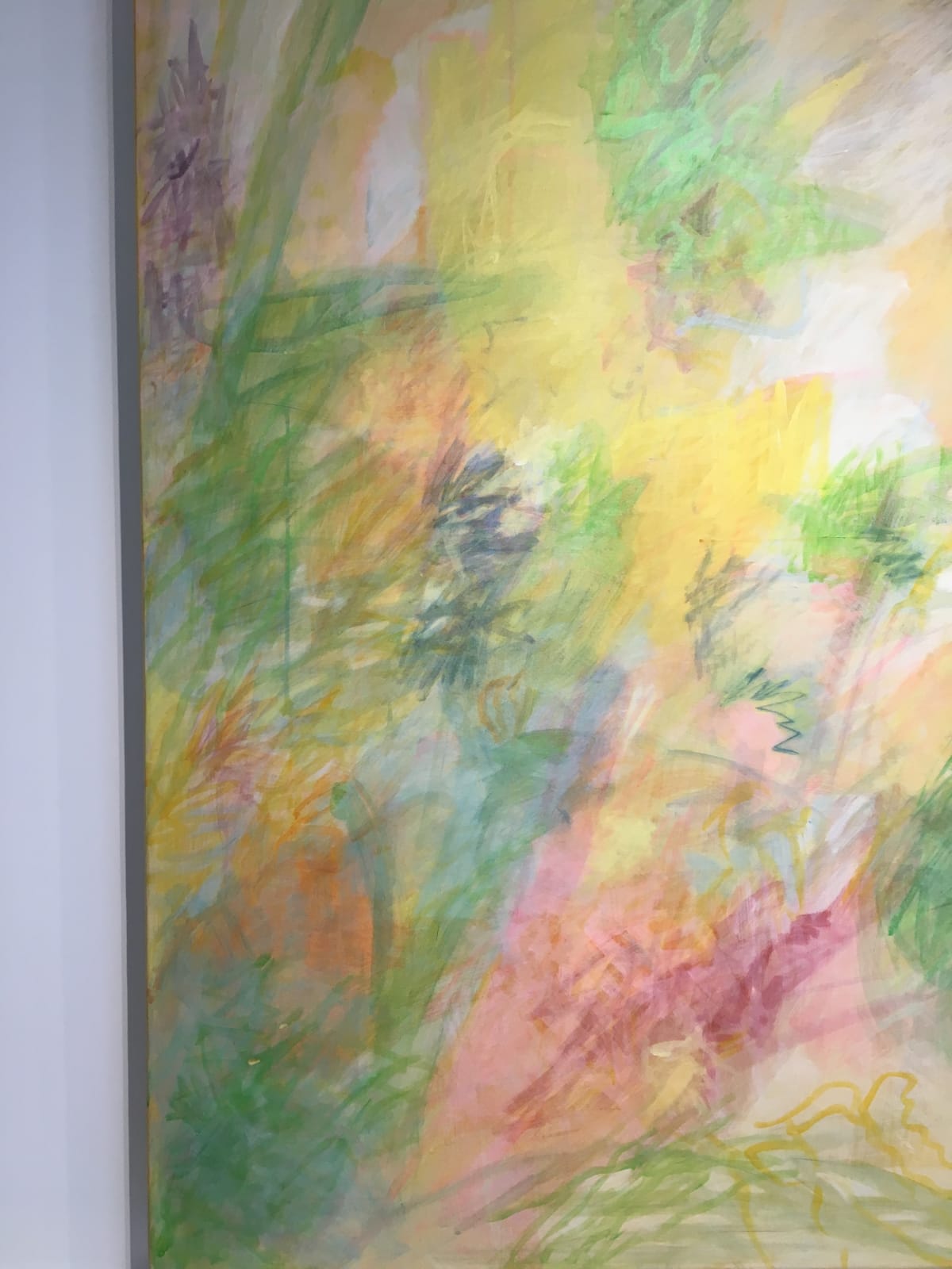 Nancy Daubenspeck, July, 2017