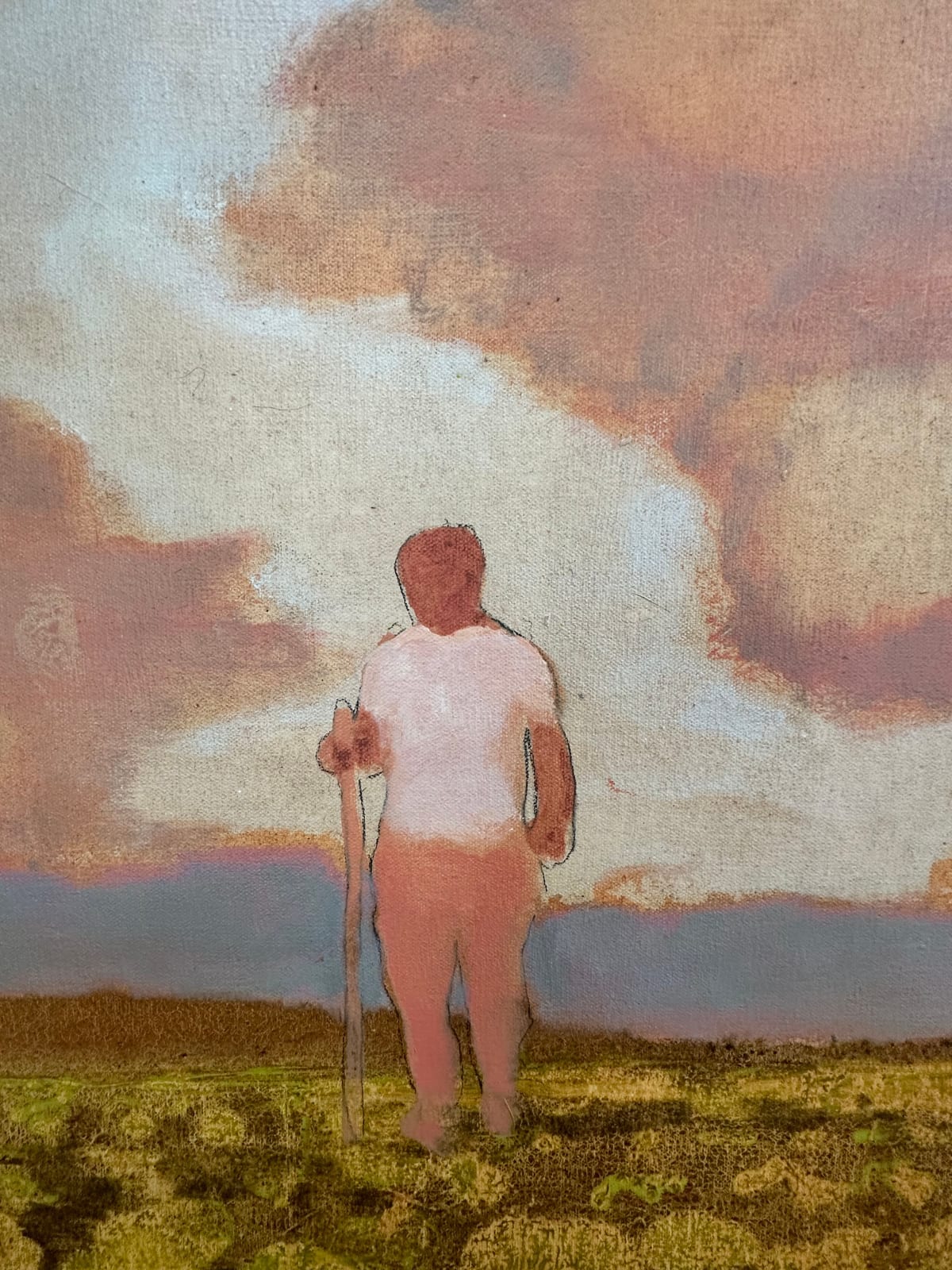 David Konigsberg, Cabbage Field, 2023