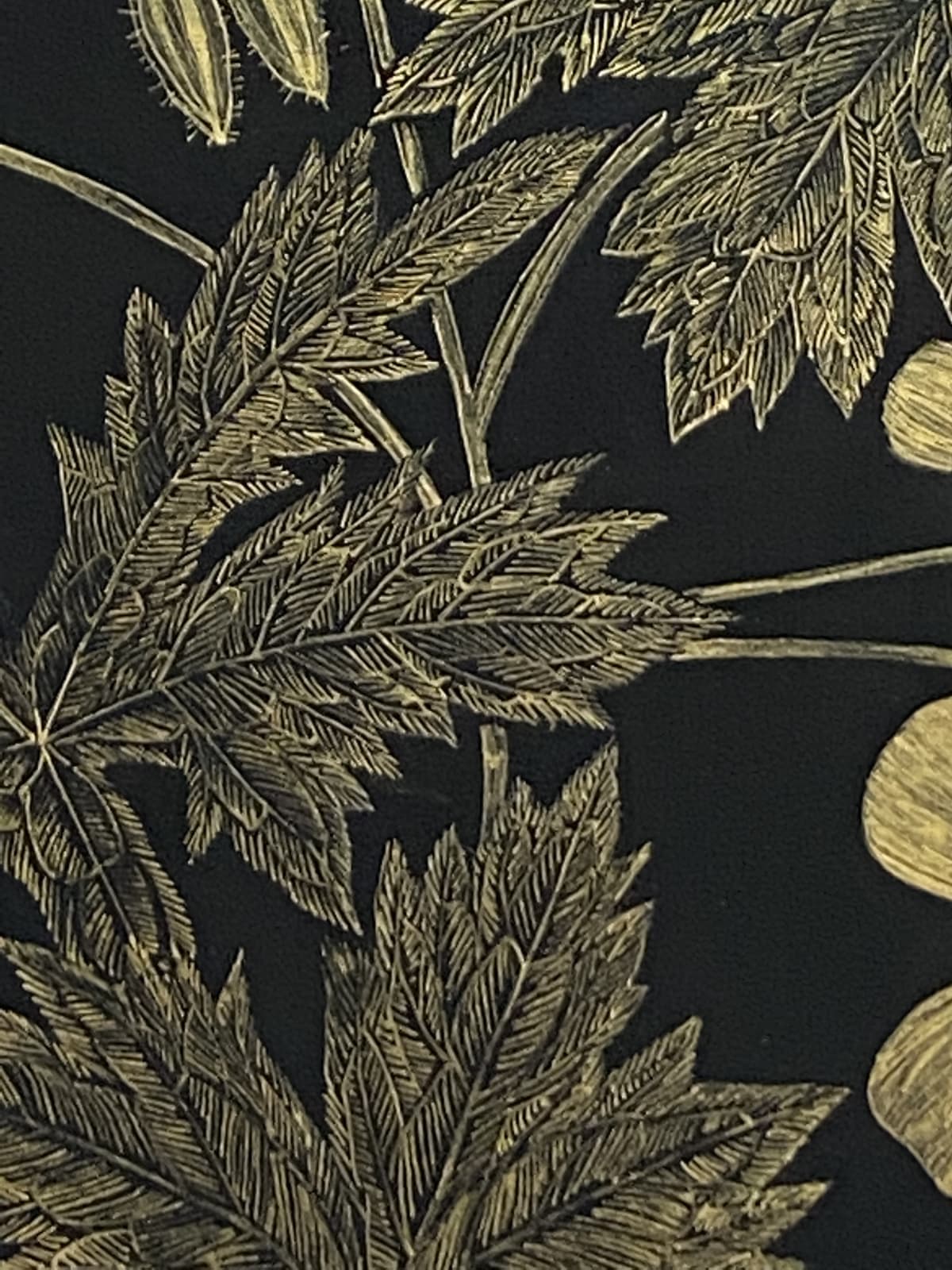 Margot Glass, Wild Geranium, 2021