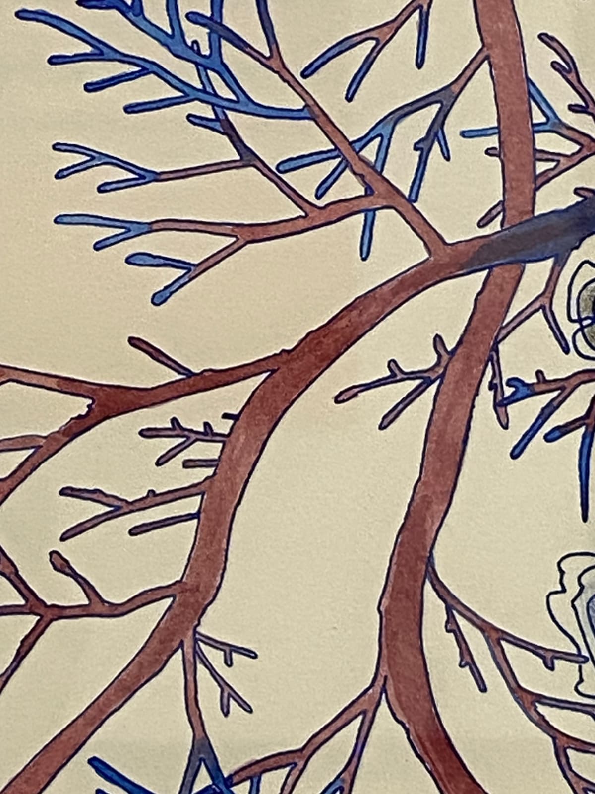 Sarah Morejohn, Snow Flora, Falling, 2020