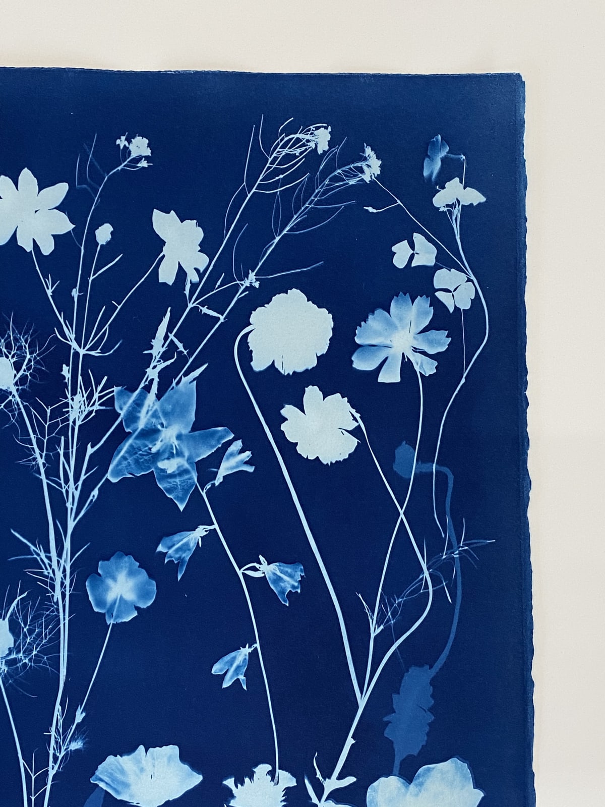 Julia Whitney Barnes, Cyanotype Painting (Crocus, Star Flower, Cosmos, Ferns, Diamond Hexagon Floor Pattern), 2021