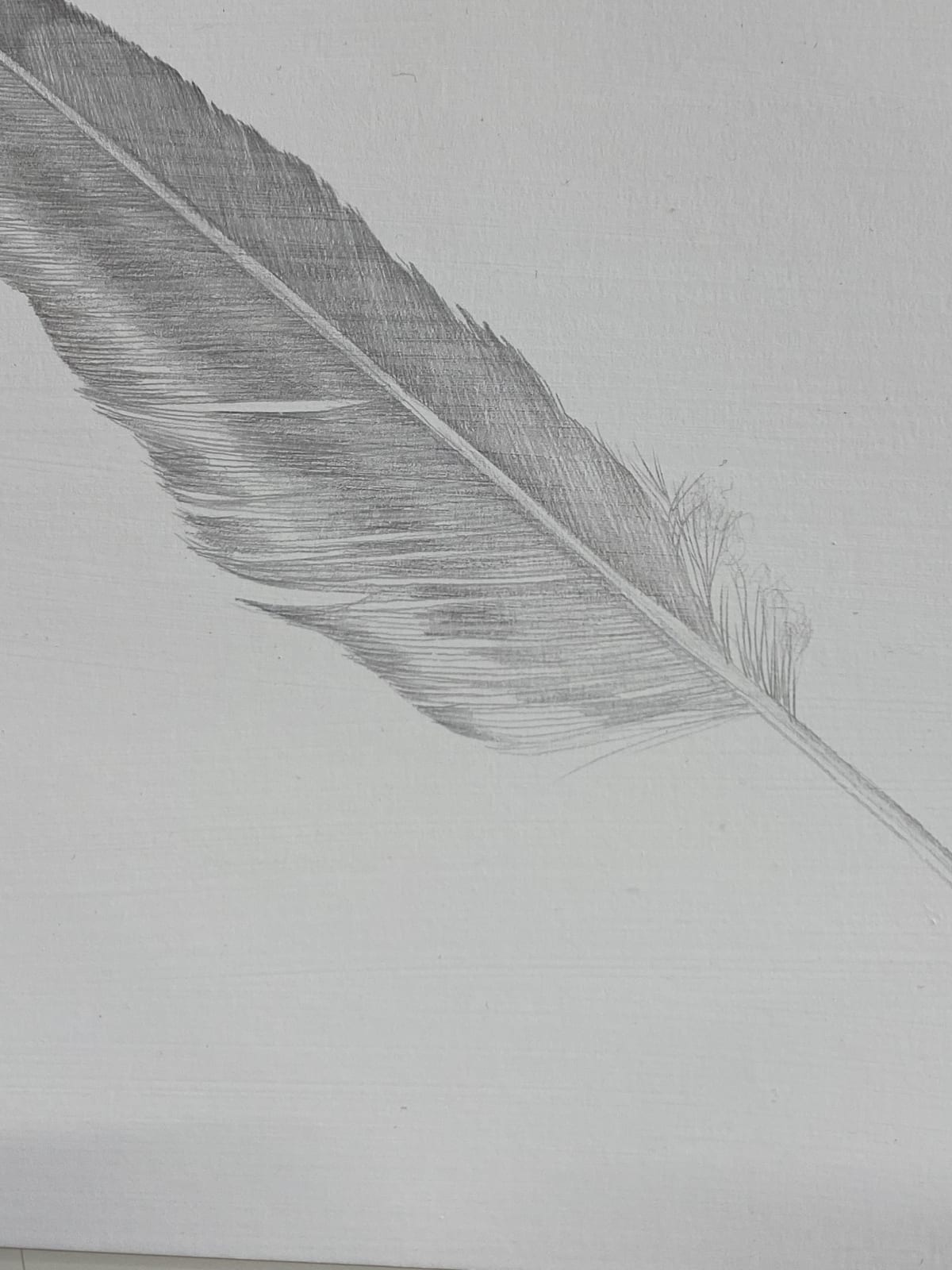 Margot Glass, Seagull Feather 1, 2020