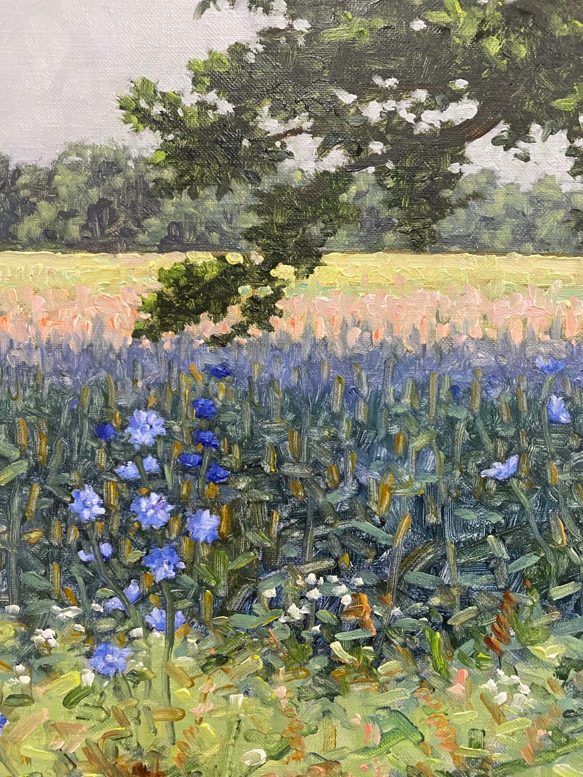 Thomas Sarrantonio, Field Painting July 8, 2022