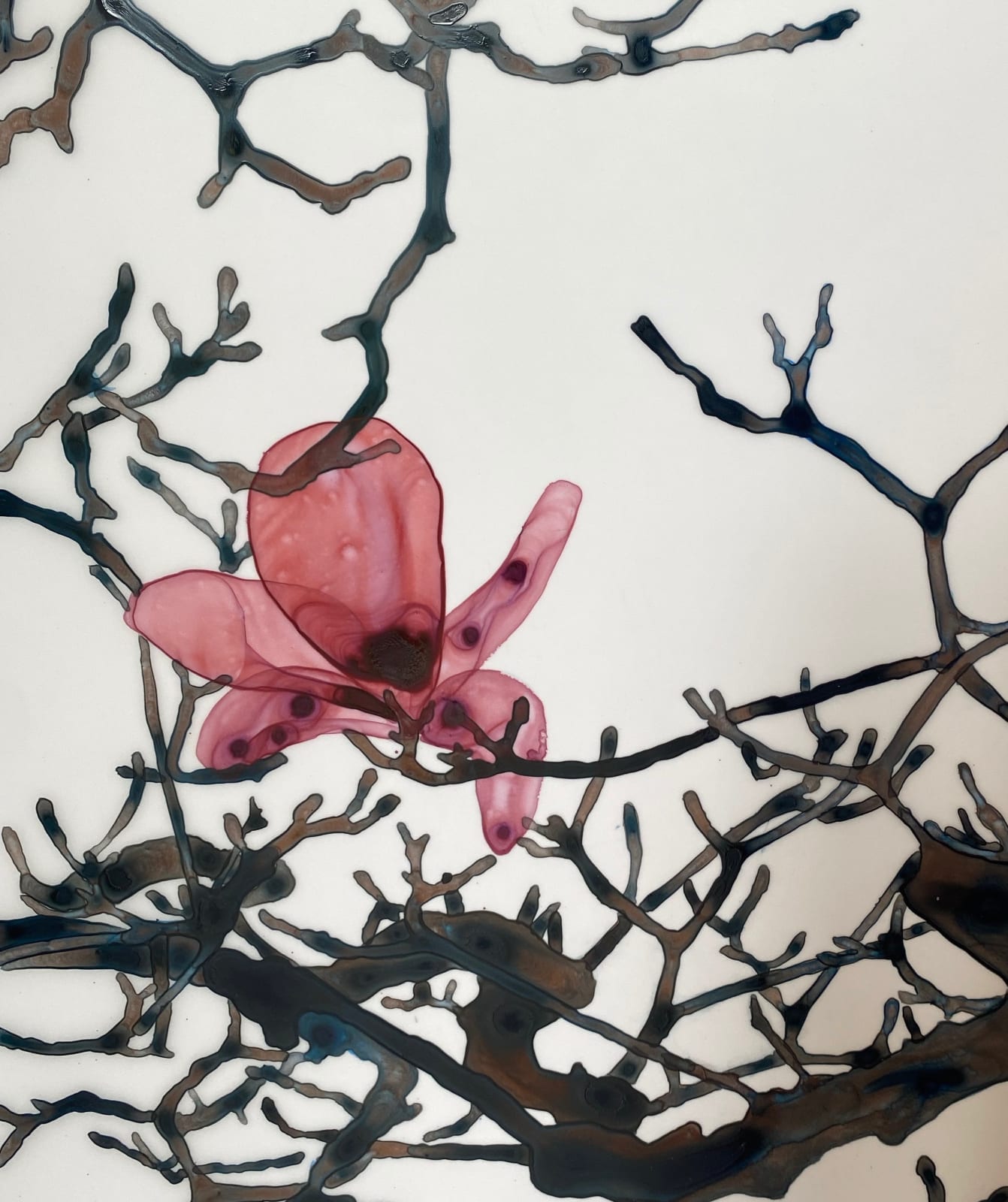 Jackie Battenfield, Evening Chorales Cs2, 2021