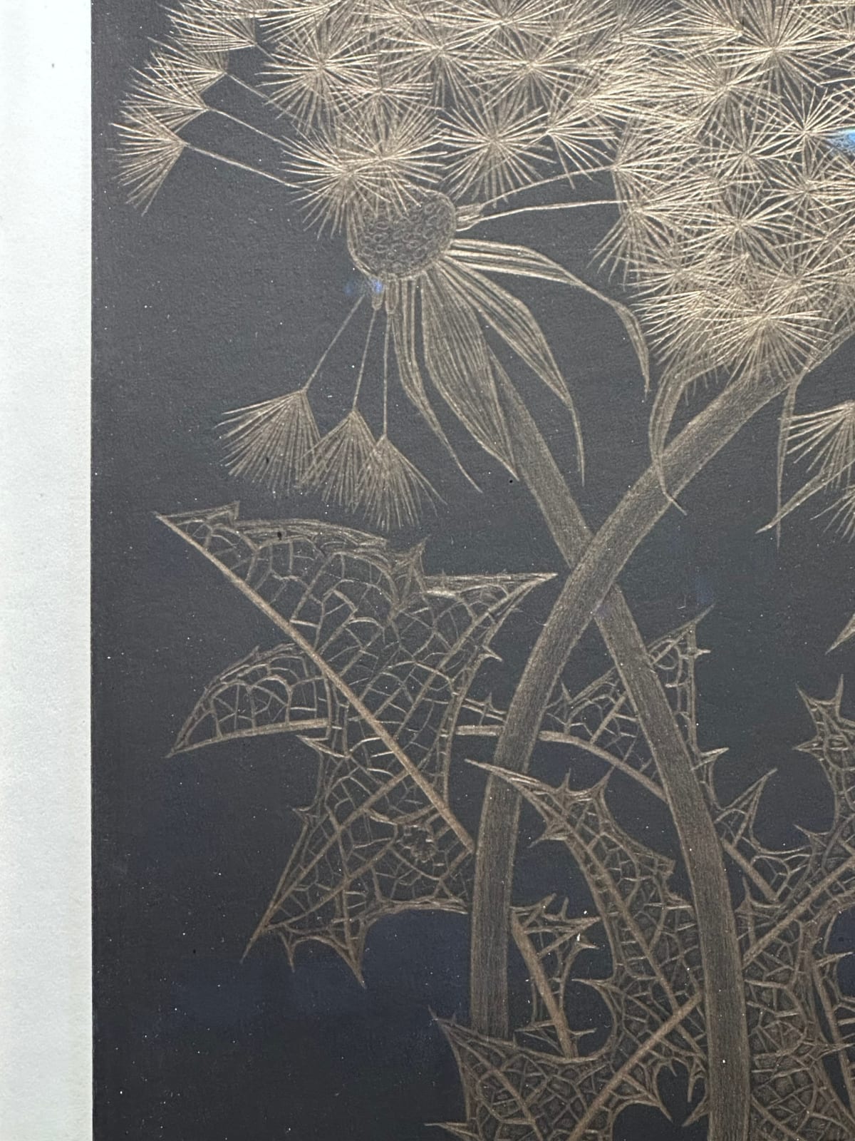 Margot Glass, Two Dandelions with Bud, 2024